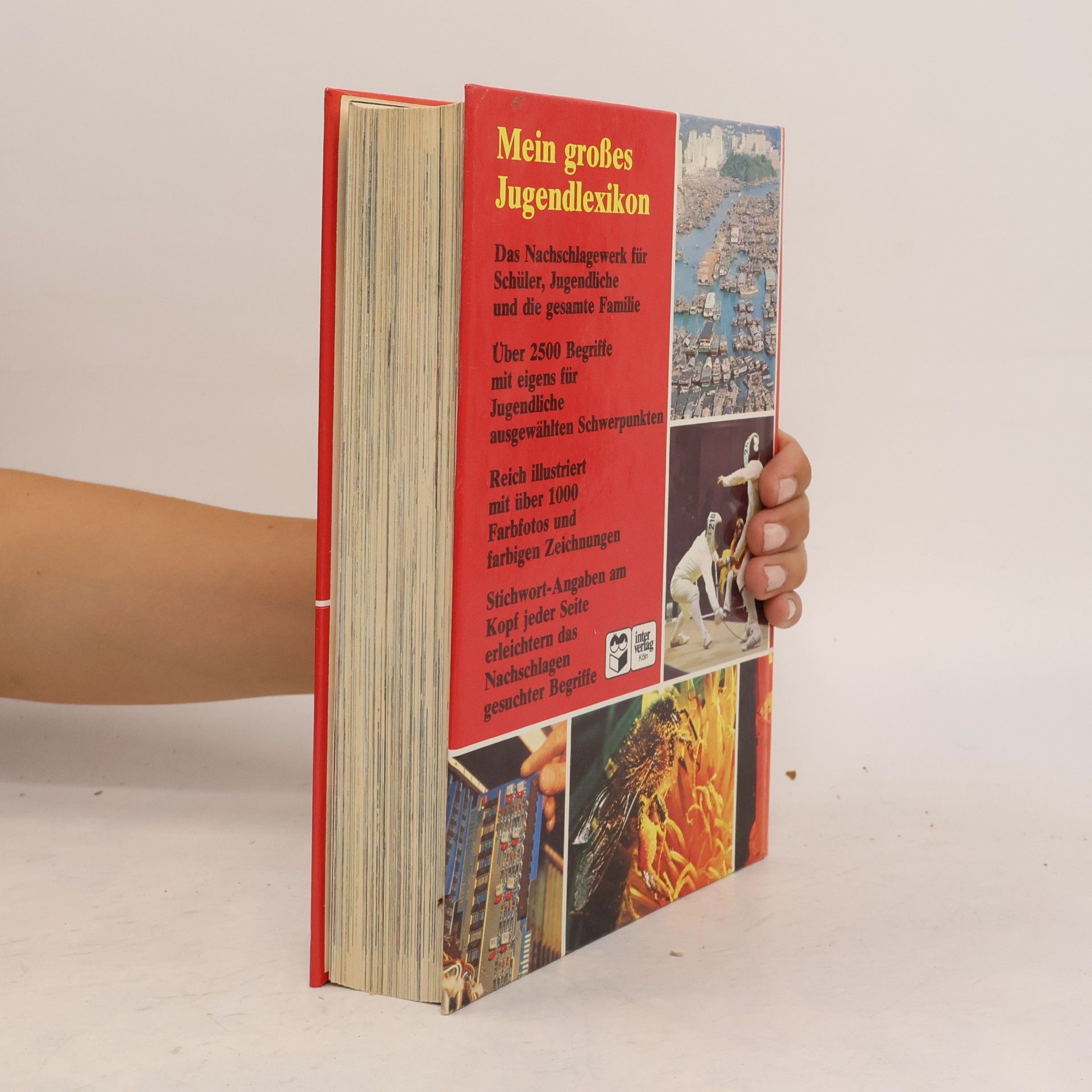 Autores varios Mein großes Jugend Lexikon