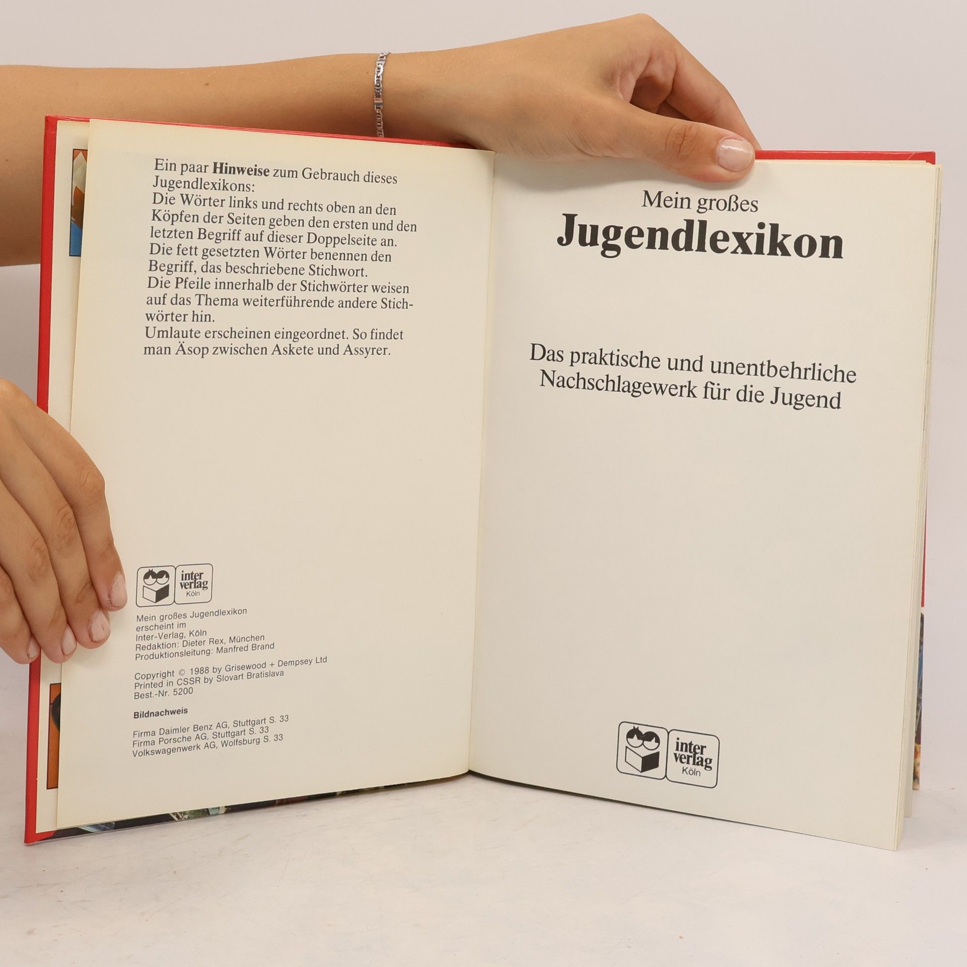 Autores varios Mein großes Jugend Lexikon