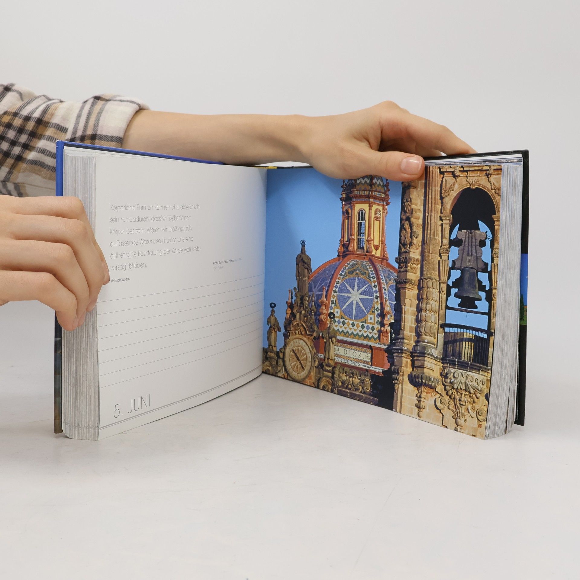 Katharina V. Haderer 365 Tage Architektur