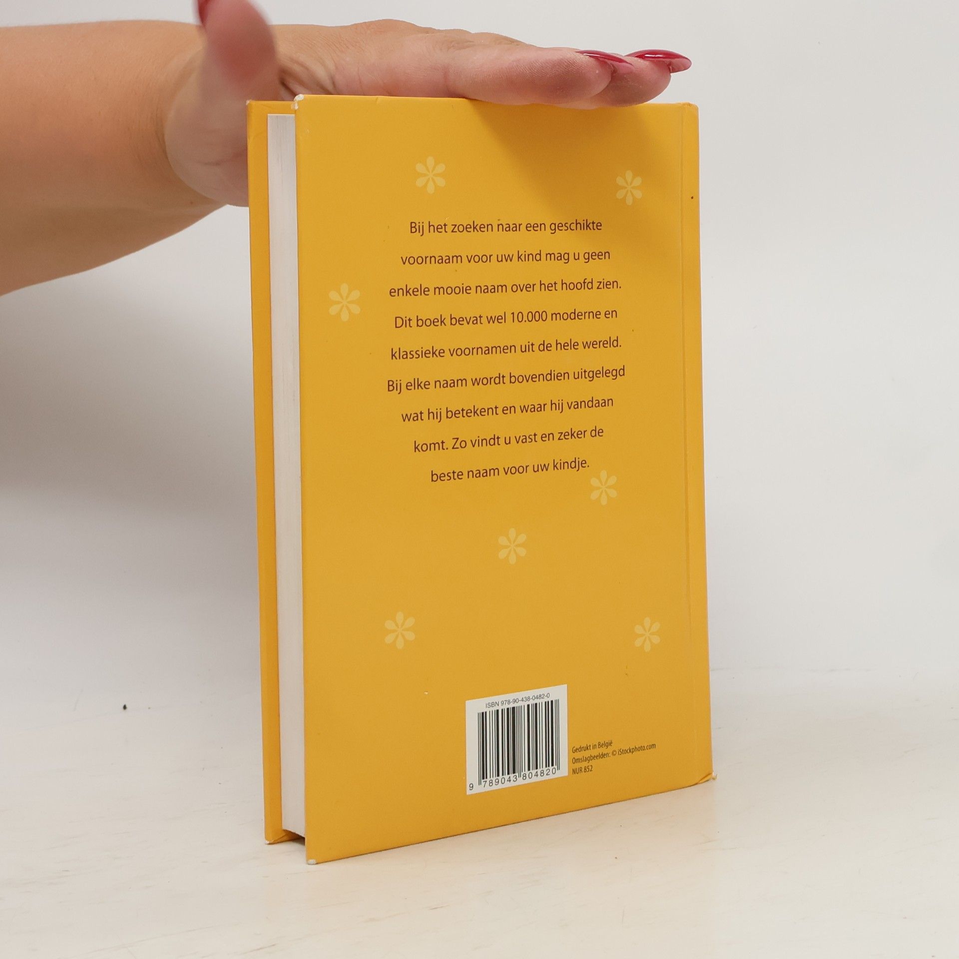 Autorenkollektiv Het grote voornamen boek