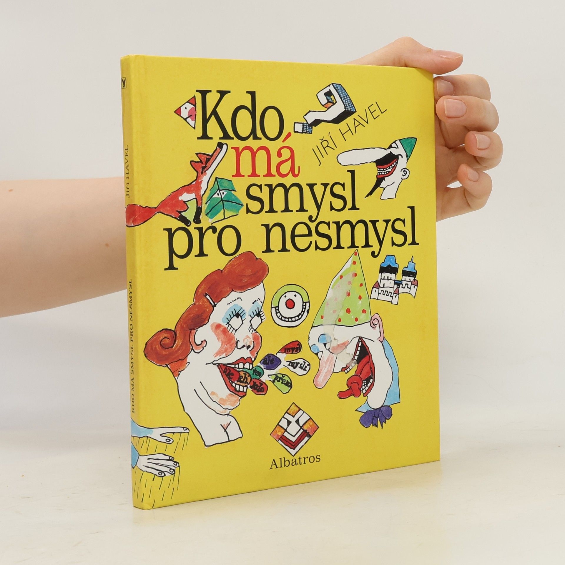 Jiří Havel Kdo má smysl pro nesmysl