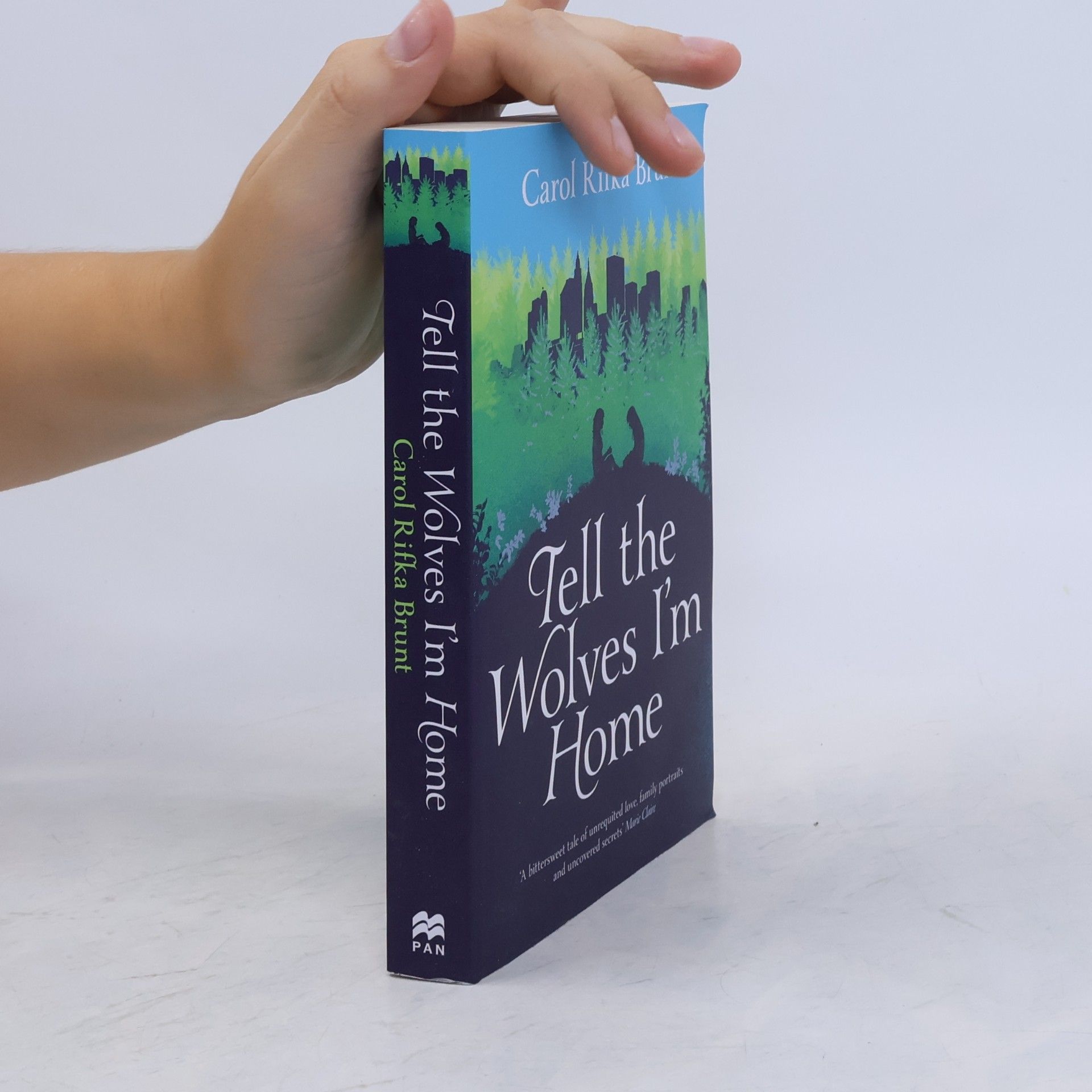 Carol Rifka Brunt Tell the wolves I'm home