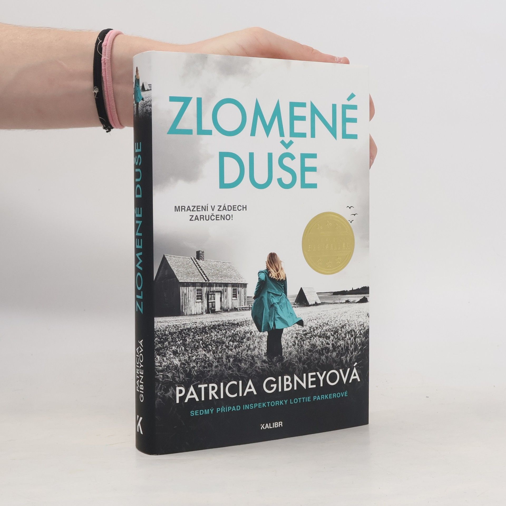 Patricia Gibney Zlomené Duše
