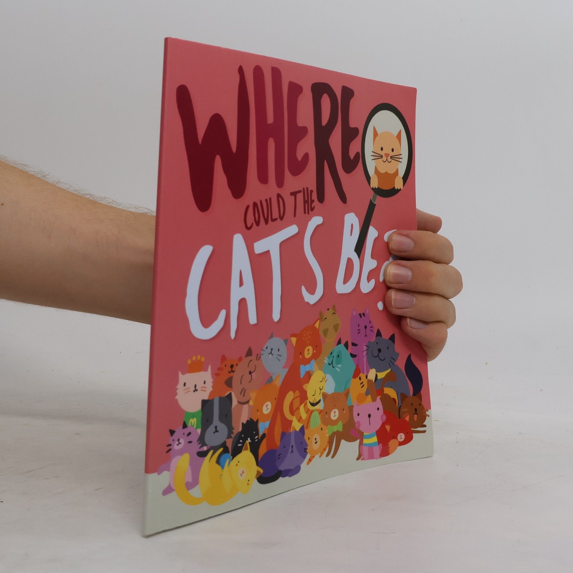 Collectif d'auteurs Where Could the Cats Be?