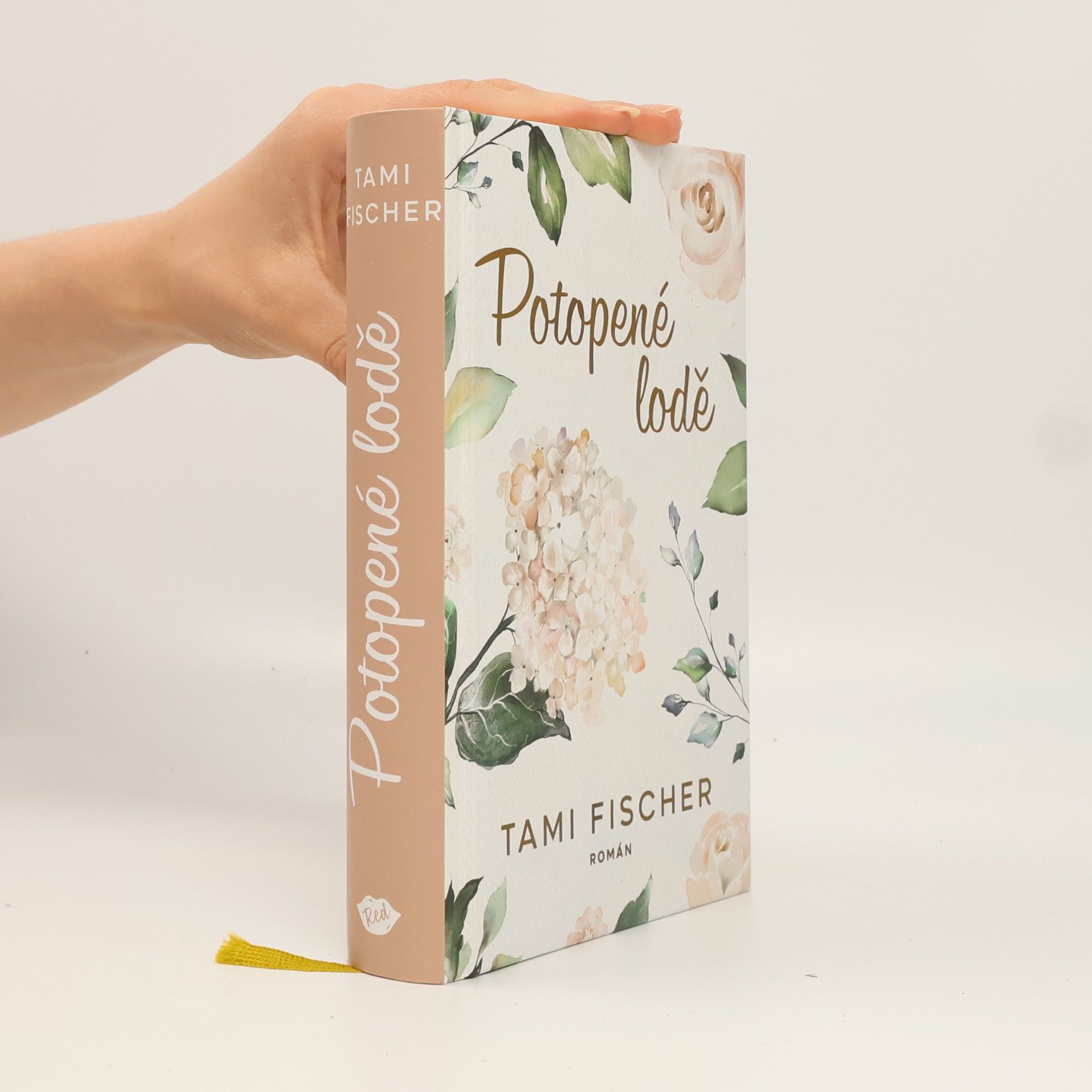 Tami Fischer Potopené lodě