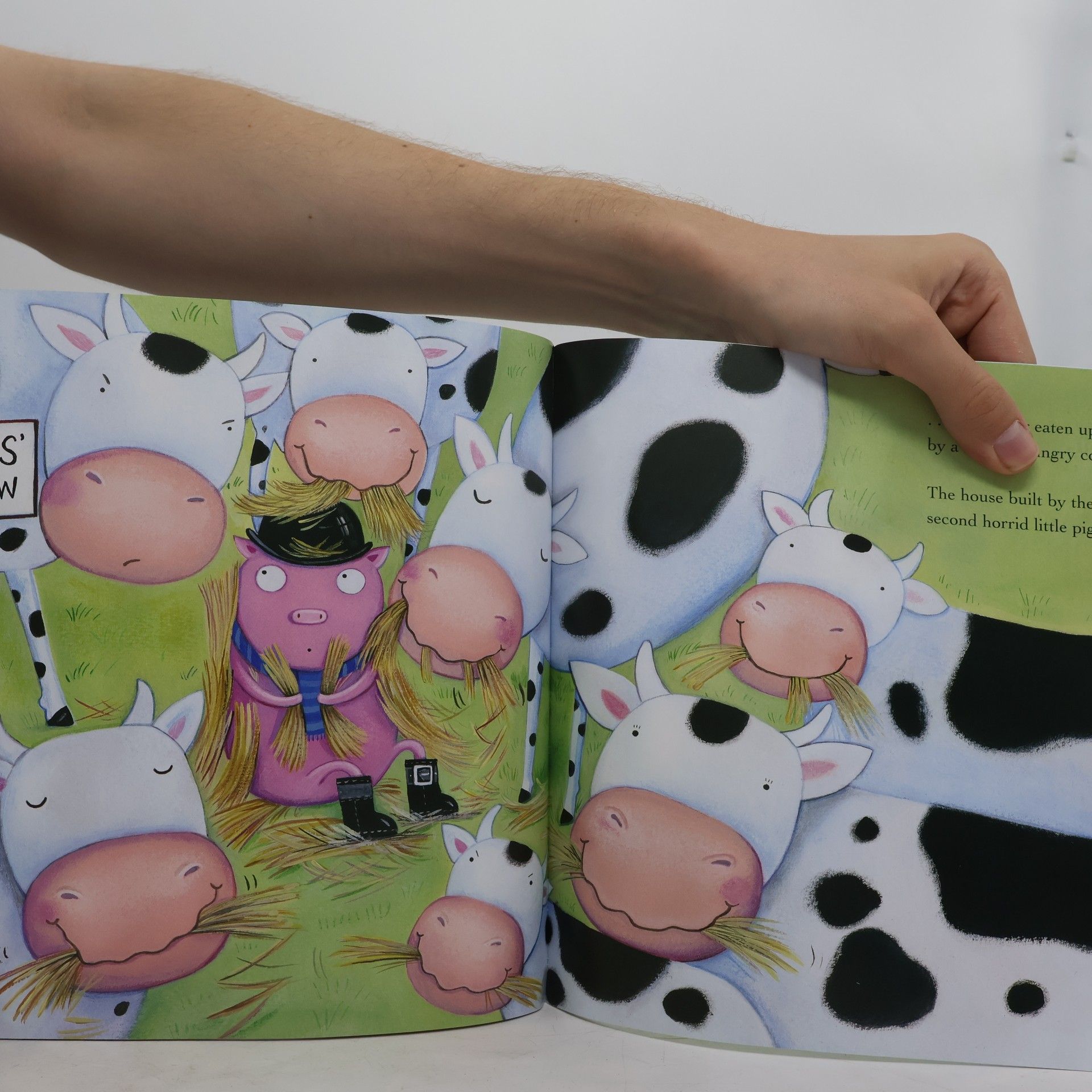Liz Pichon The Three Horrid Pigs and the Big Friendly Wolf