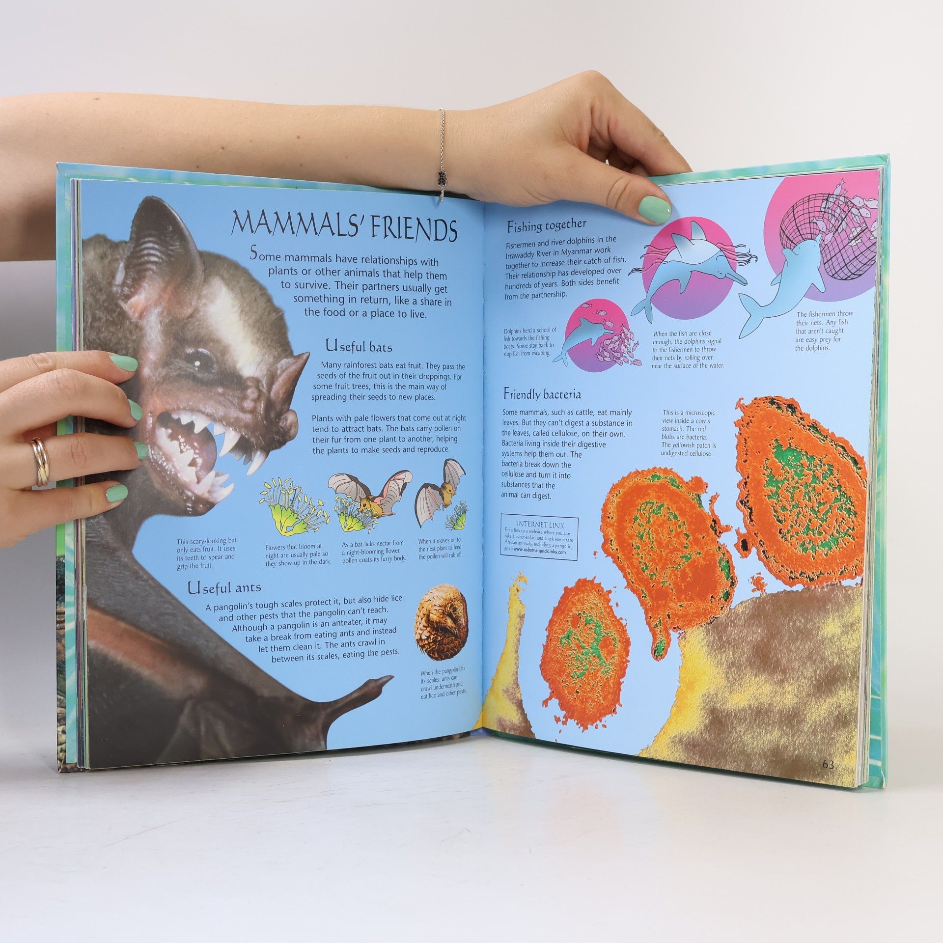 Elizabeth Dalby Nature Encyclopedias: Mysteries & Marvels of Nature