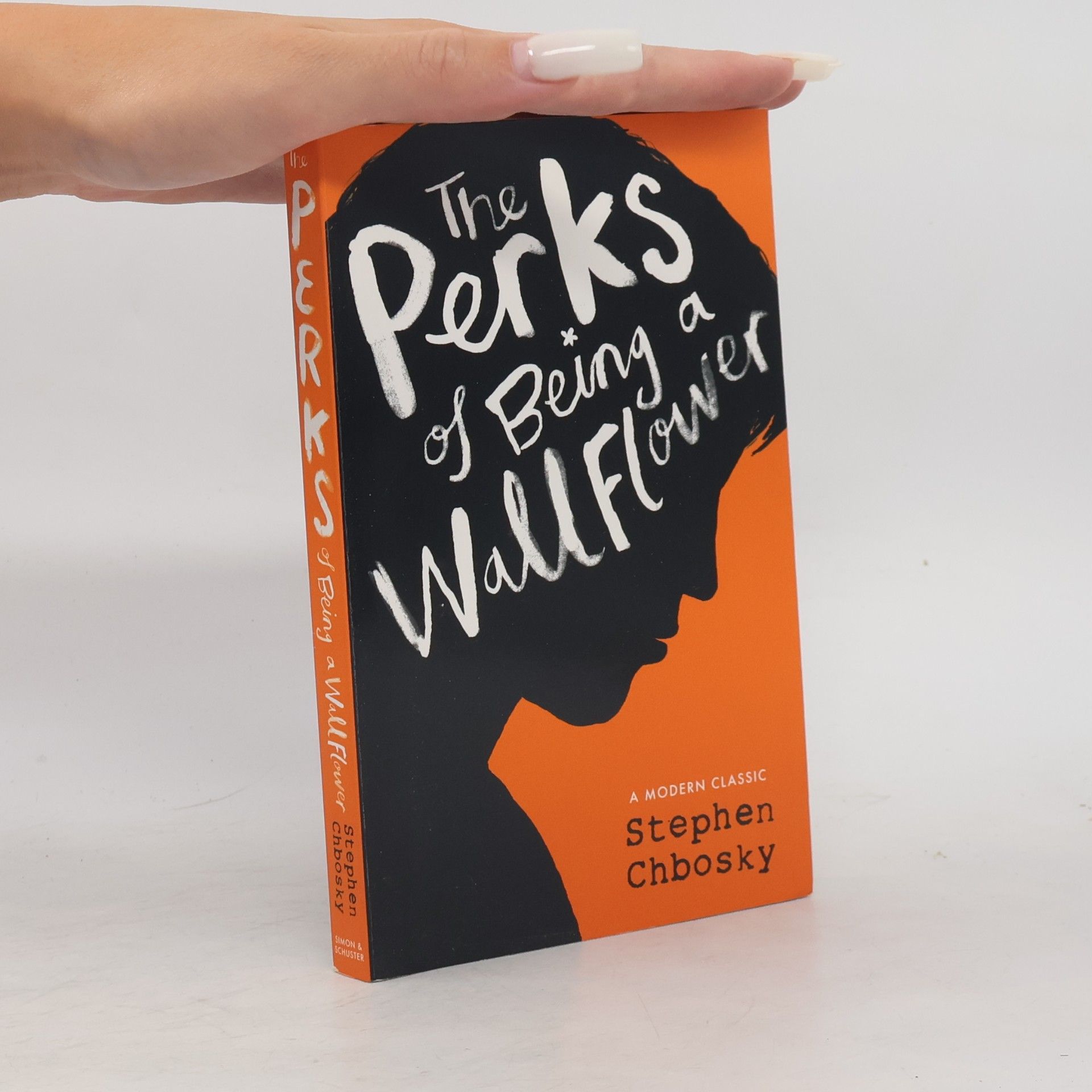 Stephen Chbosky The Perks of Being a Wallflower