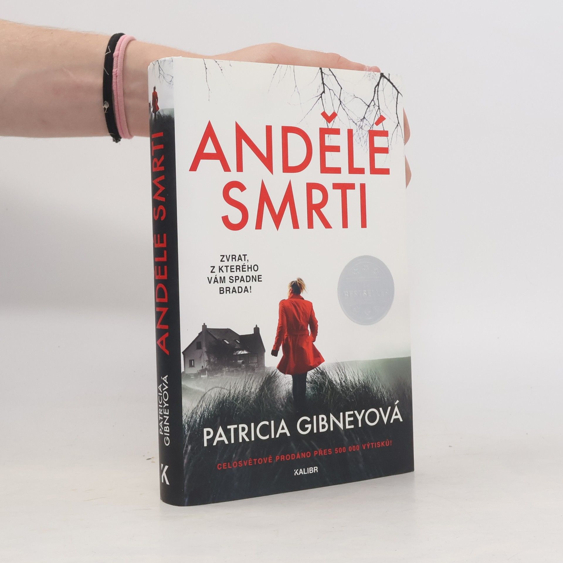 Patricia Gibney Andělé smrti