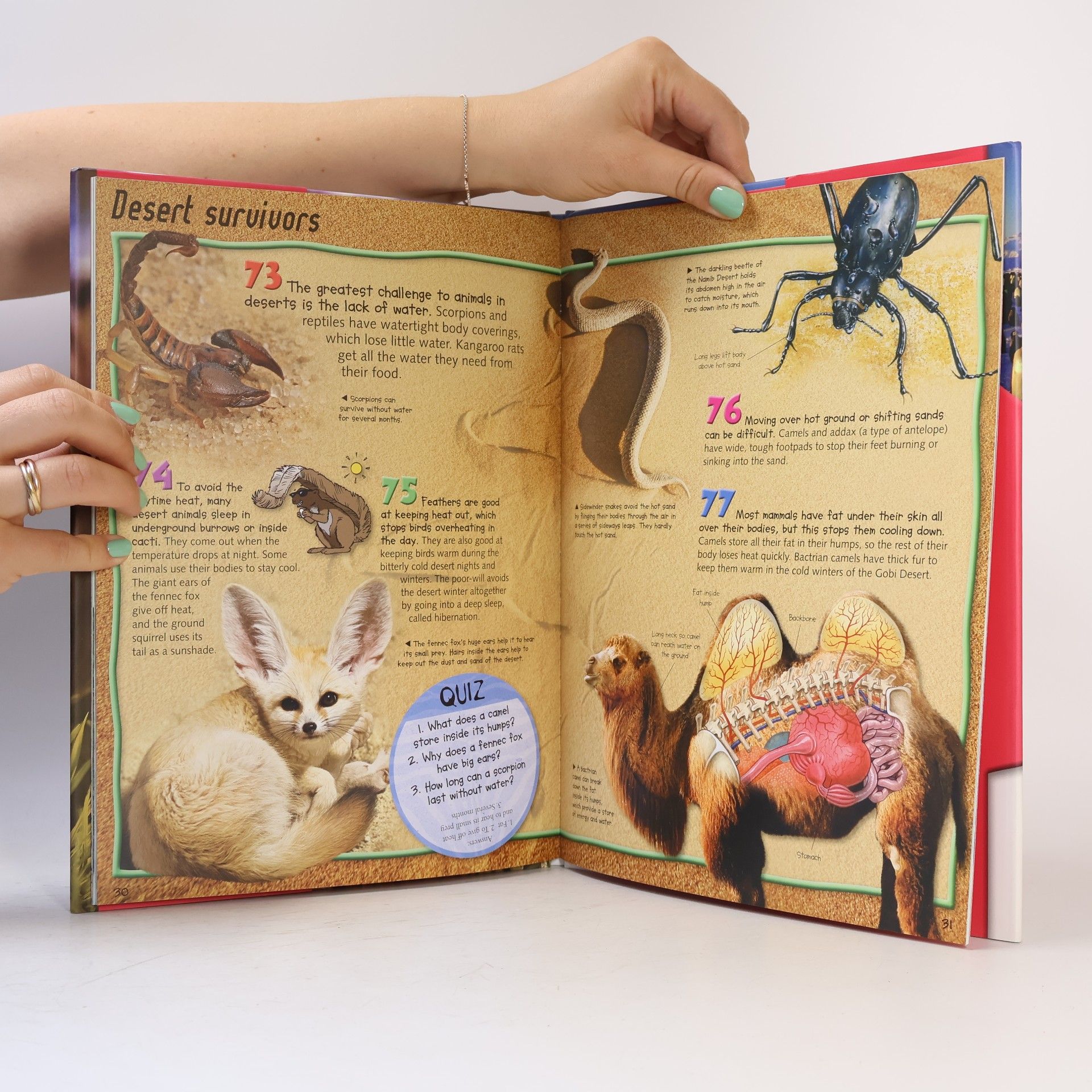Kolektiv autorů 100 Facts Animals