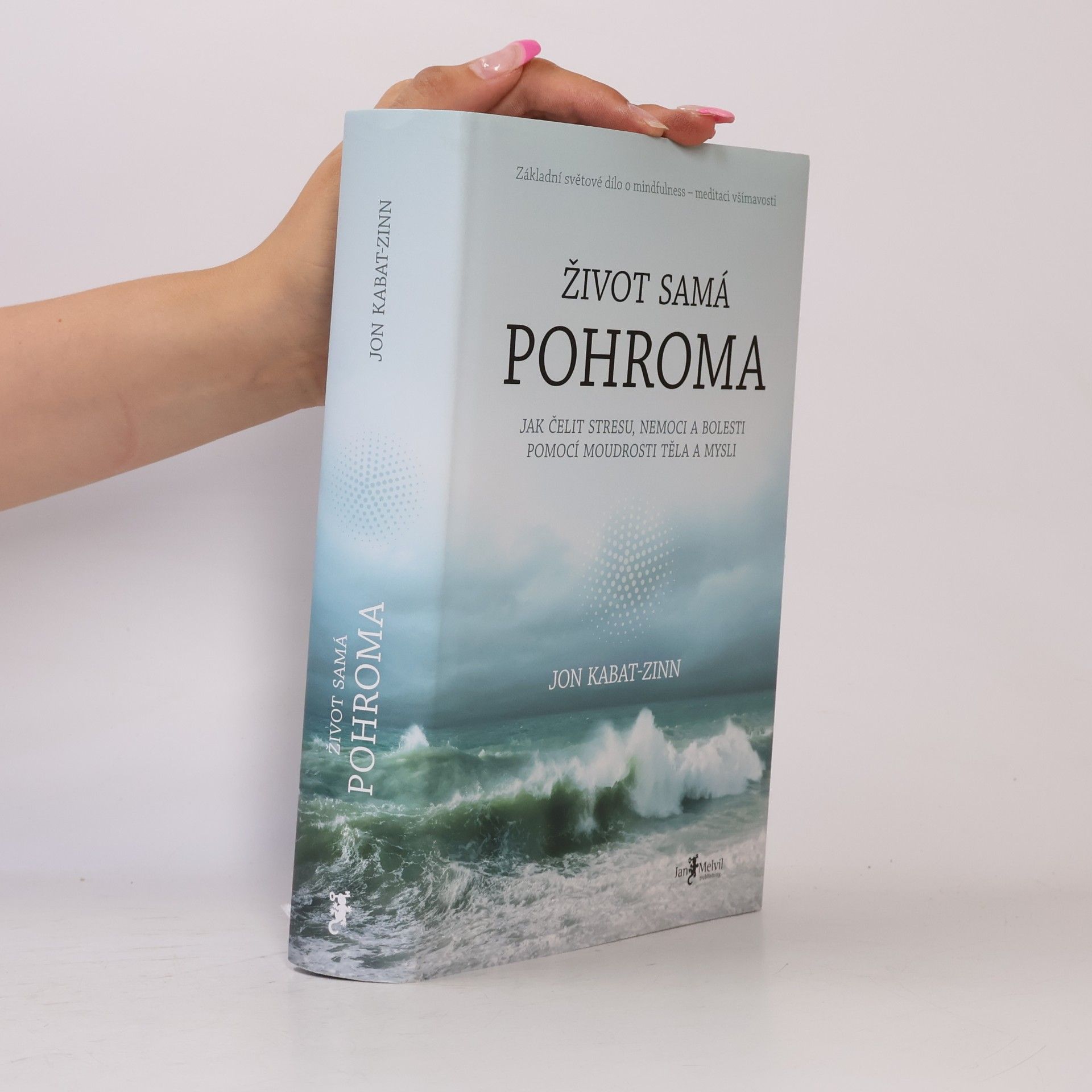 Jon Kabat Zinn Život samá pohroma
