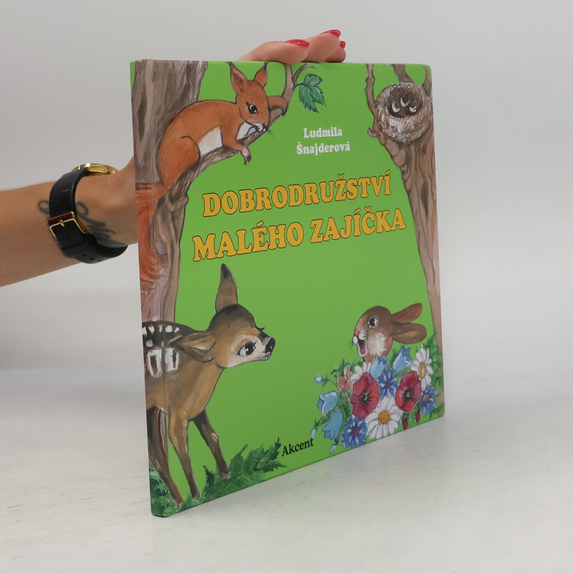 Ludmila Šnajderová Dobrodružství malého zajíčka