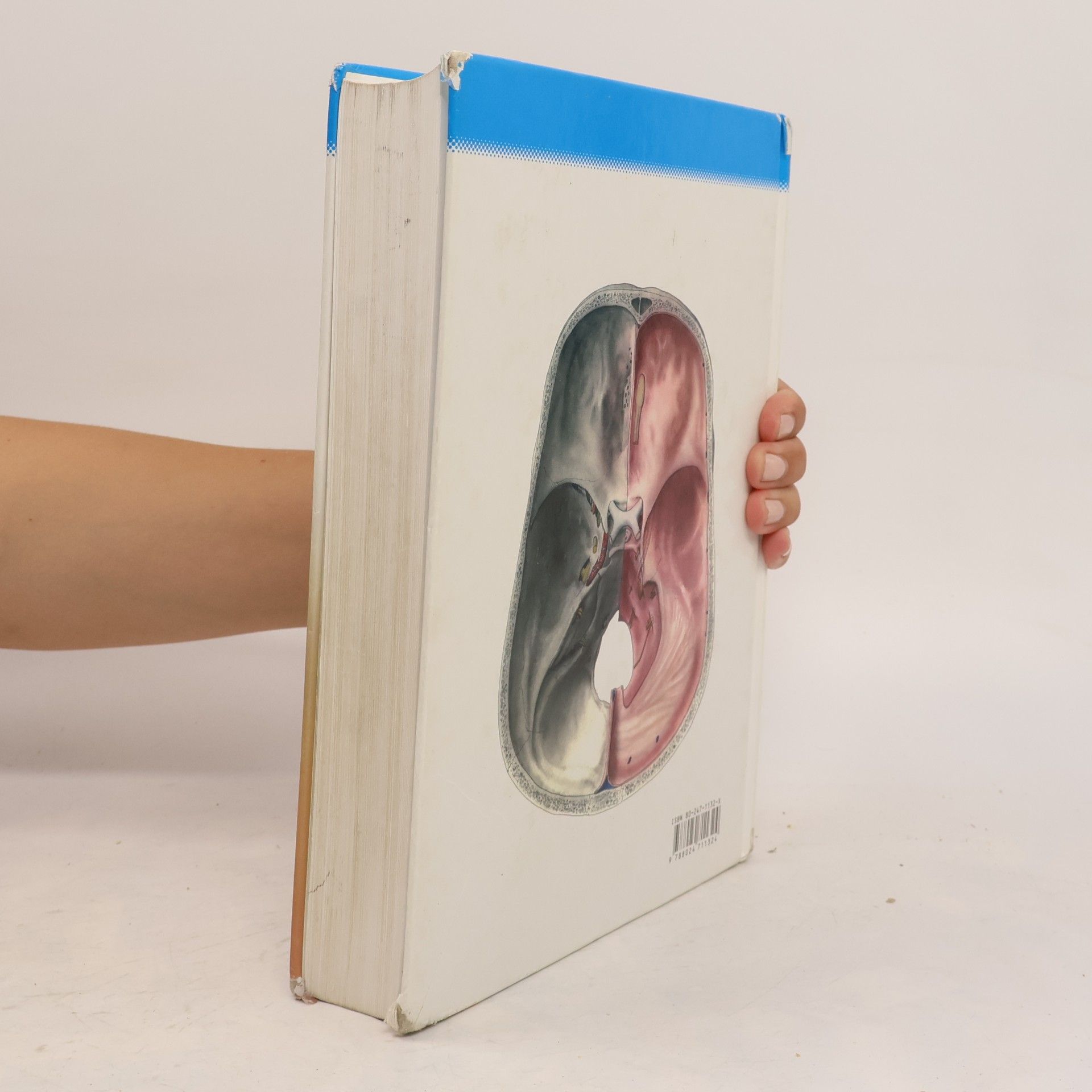 Radomír Čihák Anatomie 3