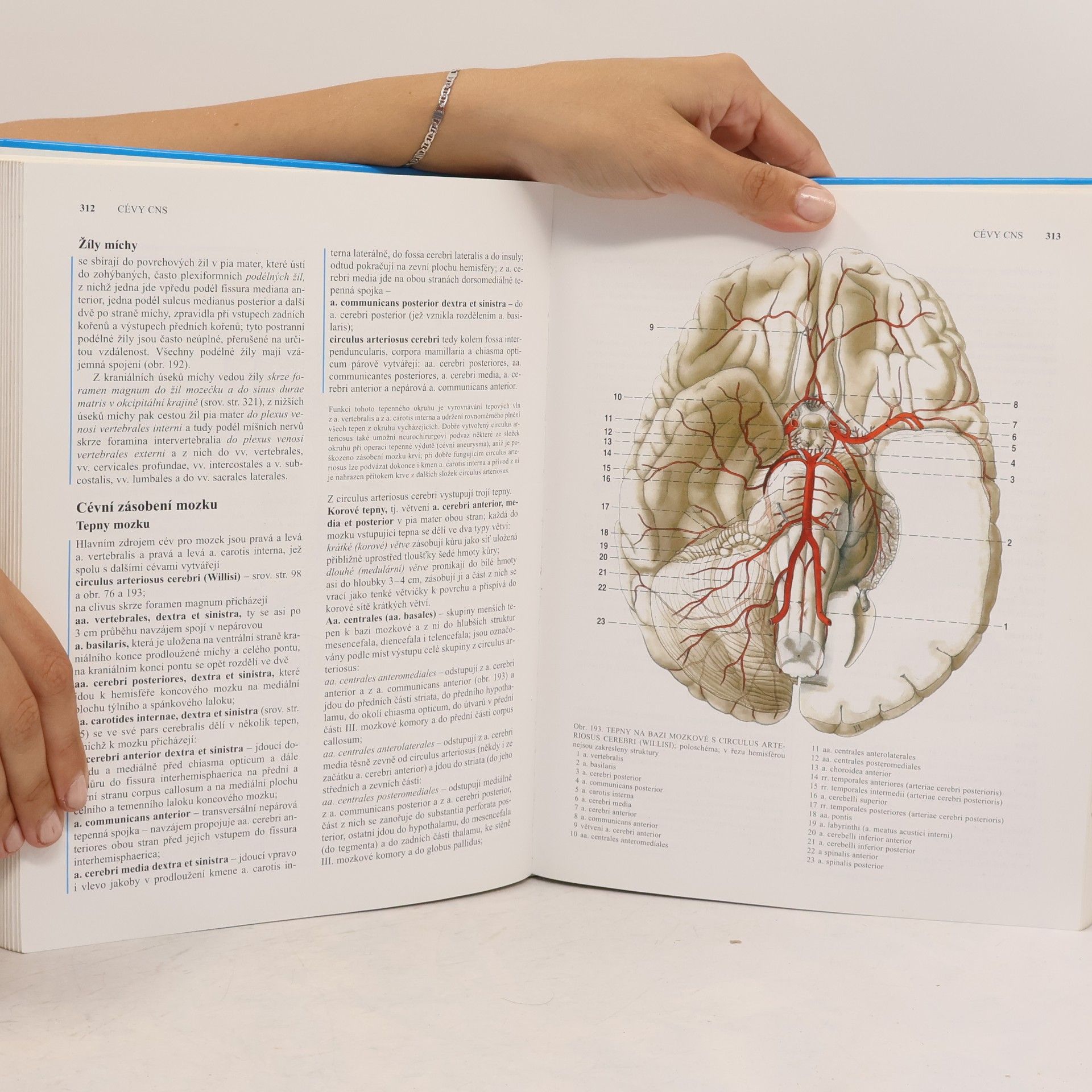 Radomír Čihák Anatomie 3