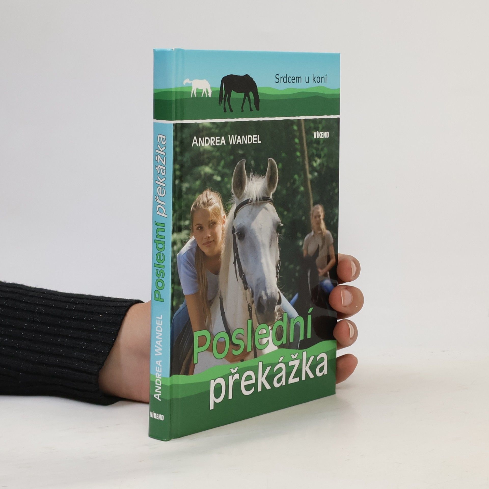 Andrea Wandel Poslední překážka