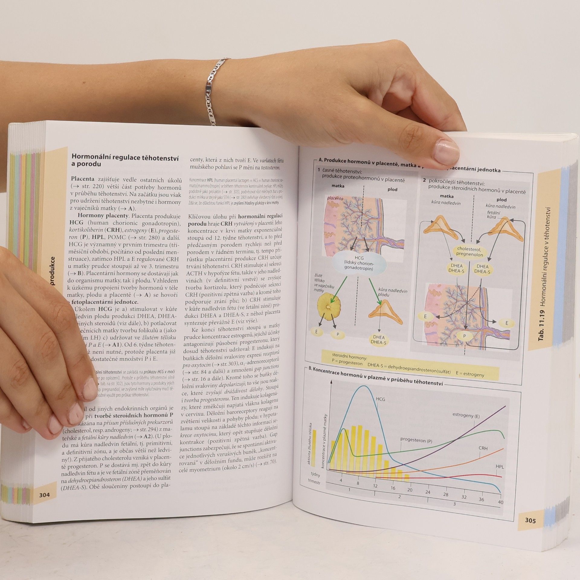 Stefan Silbernagl Atlas fyziologie člověka