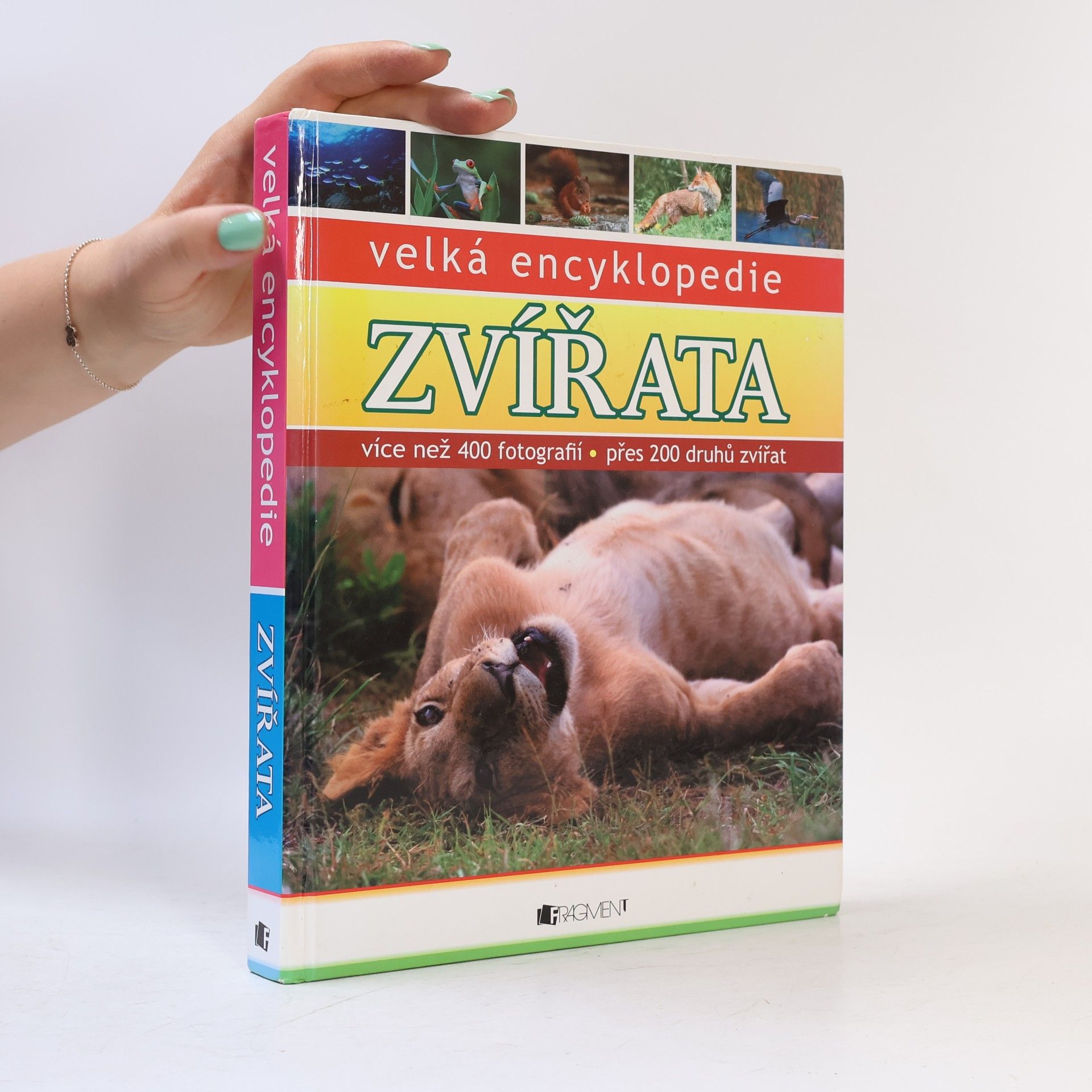 Jitka Mádrová Zvířata : velká encyklopedie