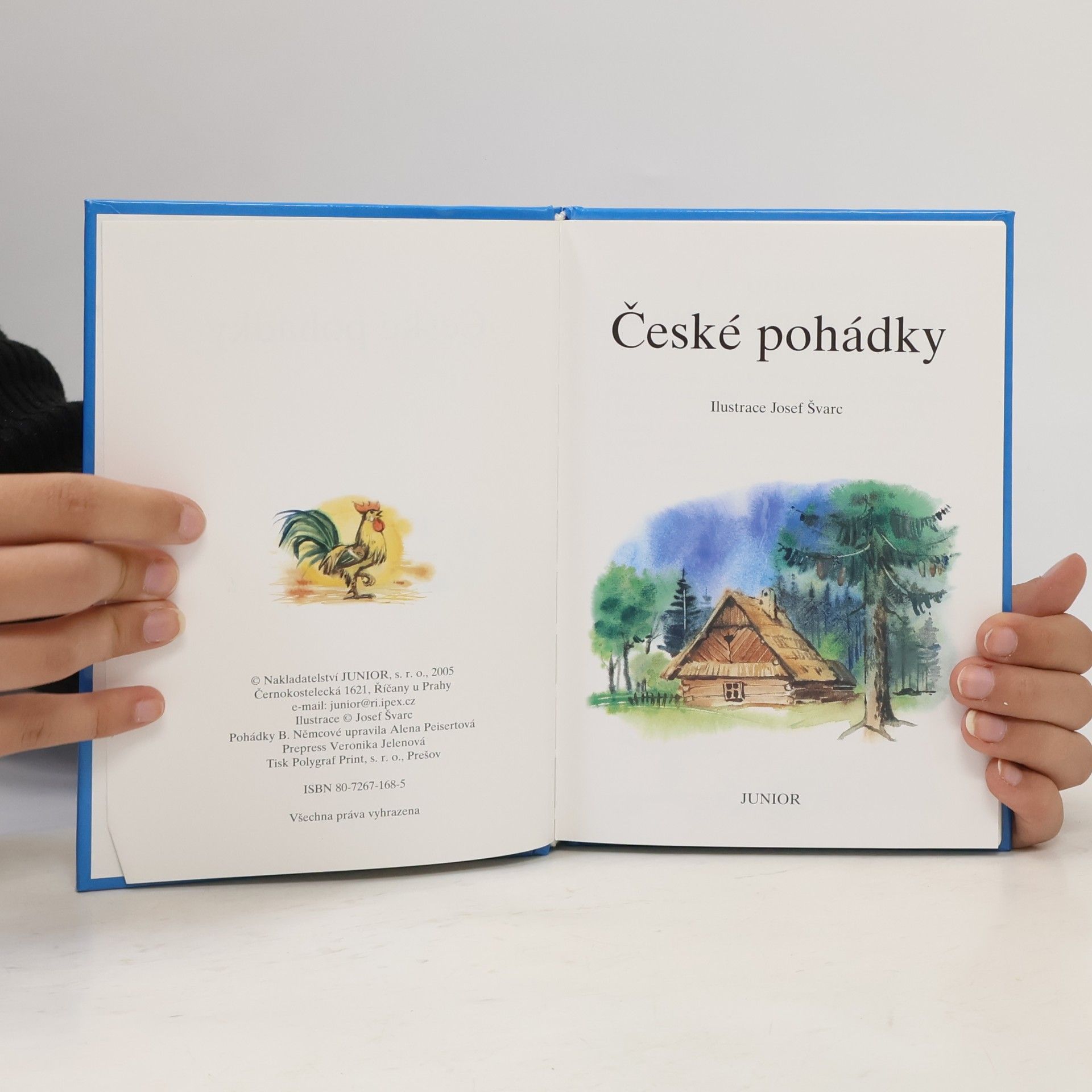 Božena Němcová České pohádky