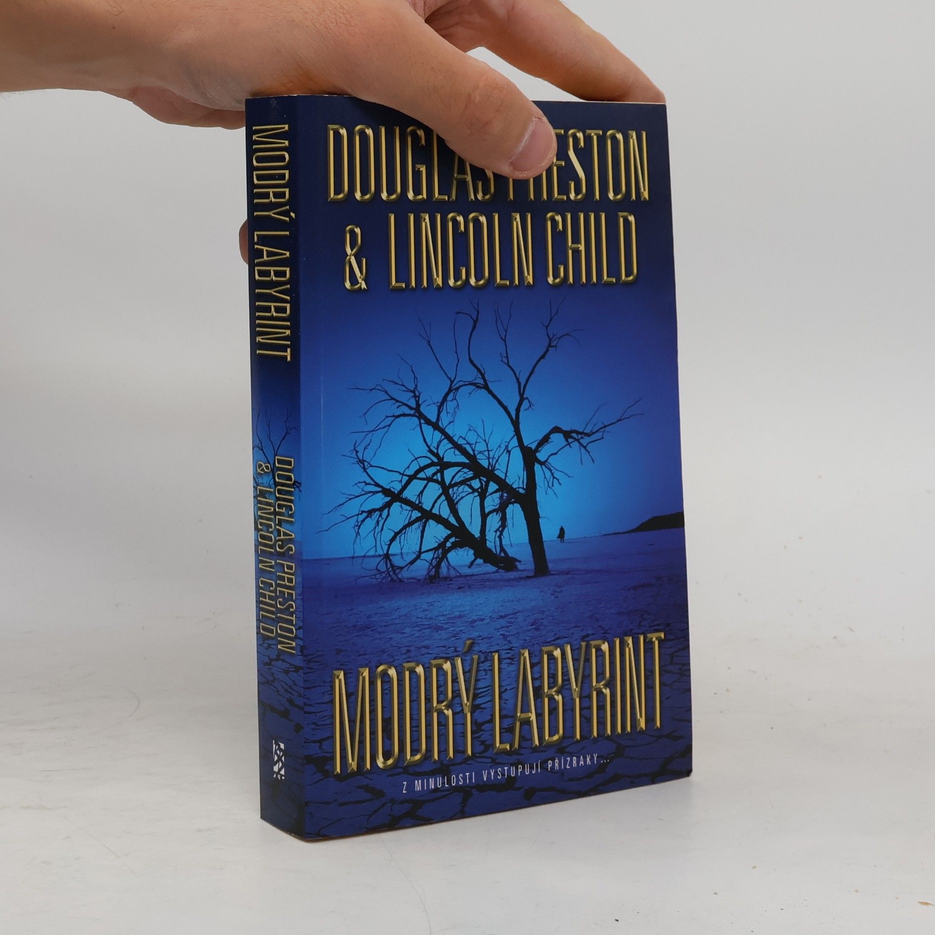 Douglas Preston Modrý labyrint