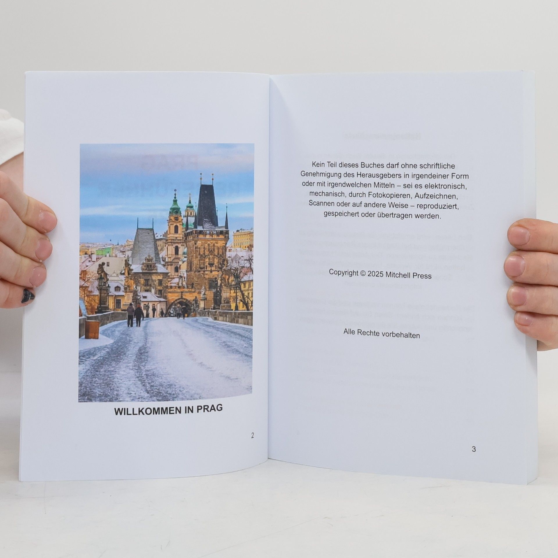 Autorenkollektiv Prag