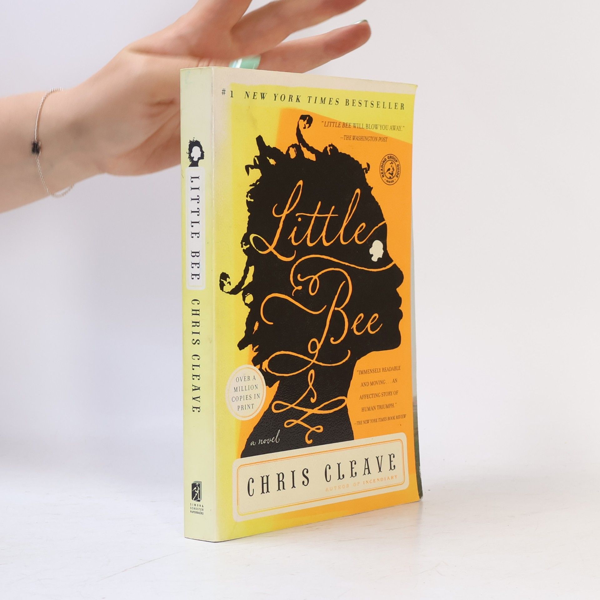 Chris Cleave Little Bee