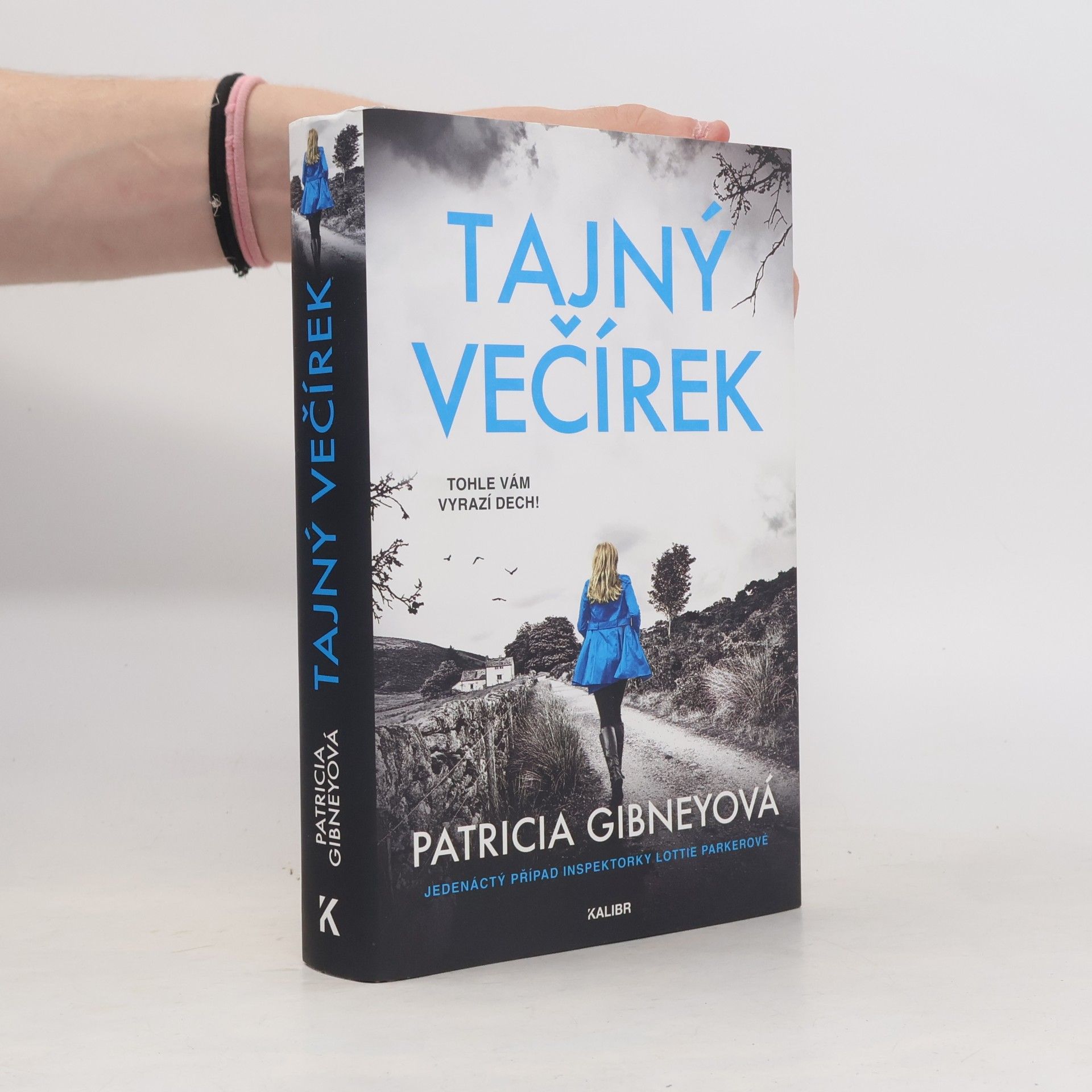 Patricia Gibney Tajný večírek