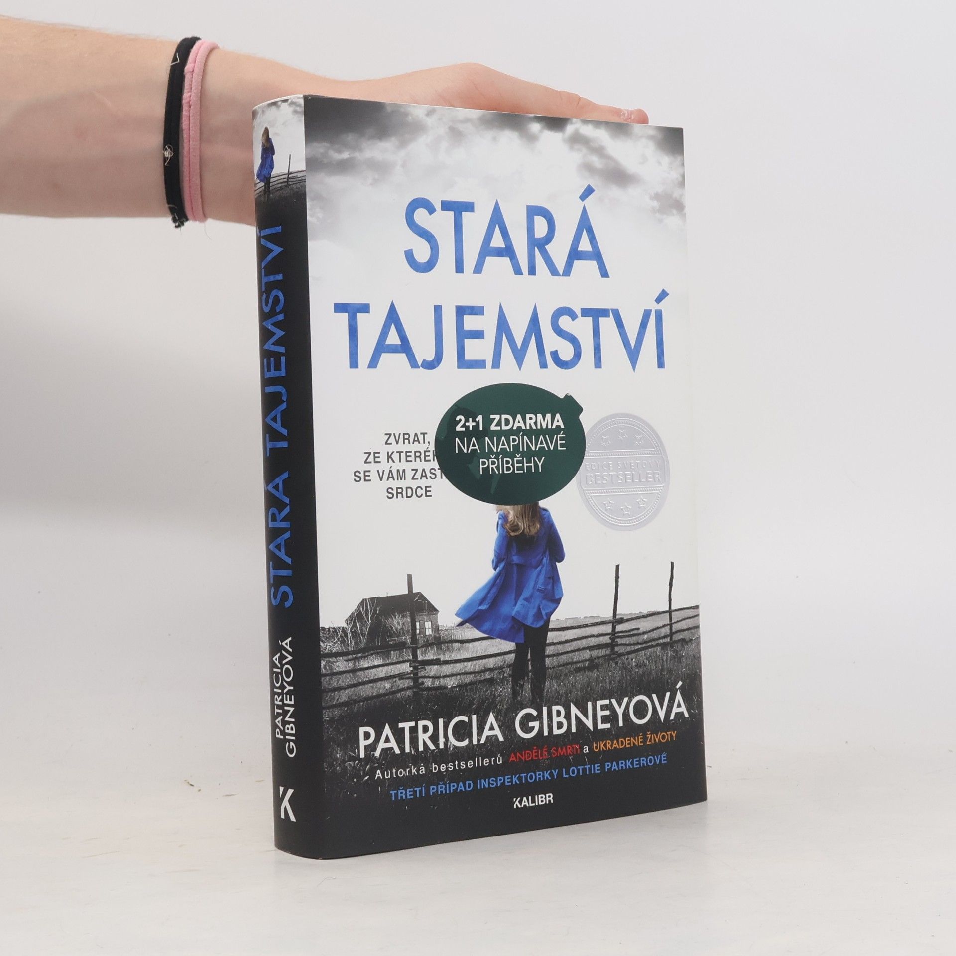 Patricia Gibney Stará tajemství
