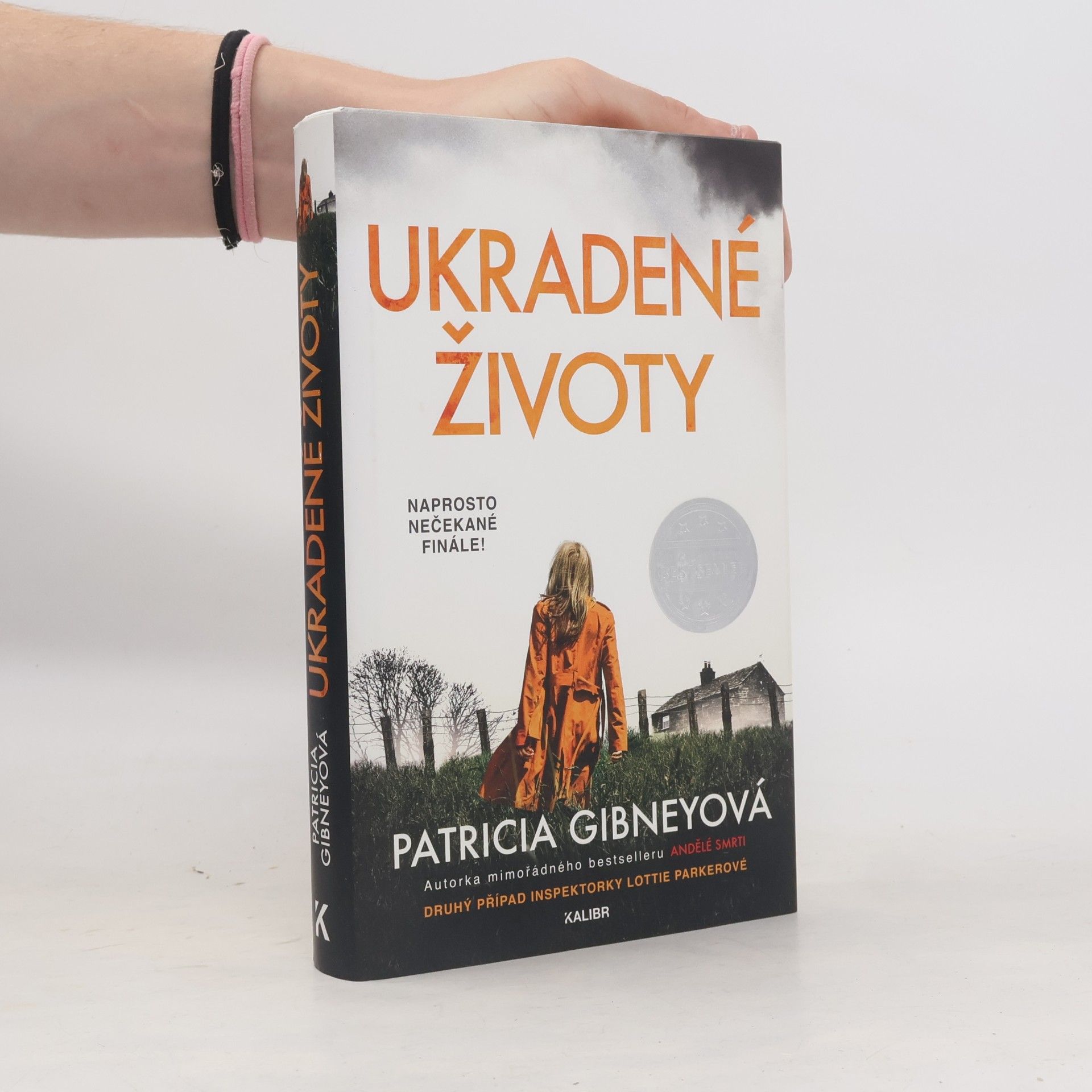 Patricia Gibney Ukradené životy