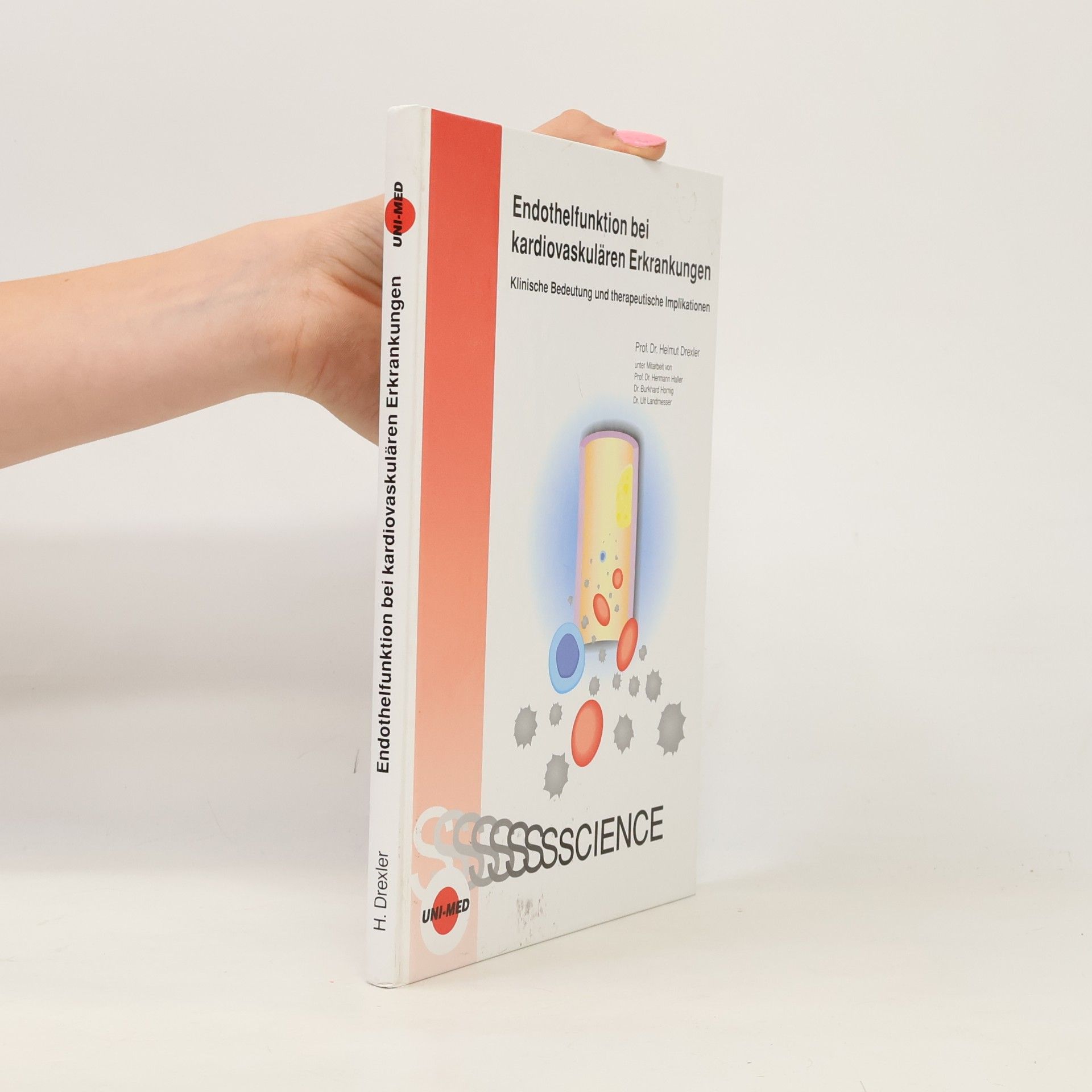 Endothelfunktion bei kardiovaskulären Erkrankungen