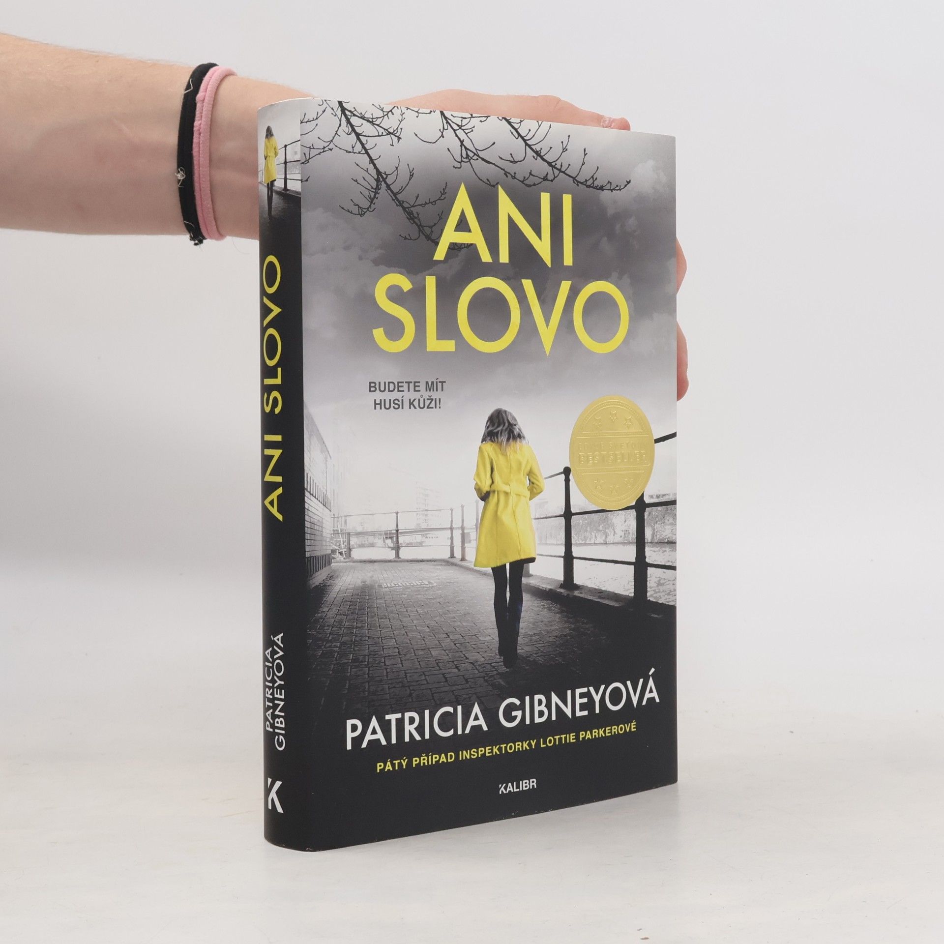 Patricia Gibney Ani slovo