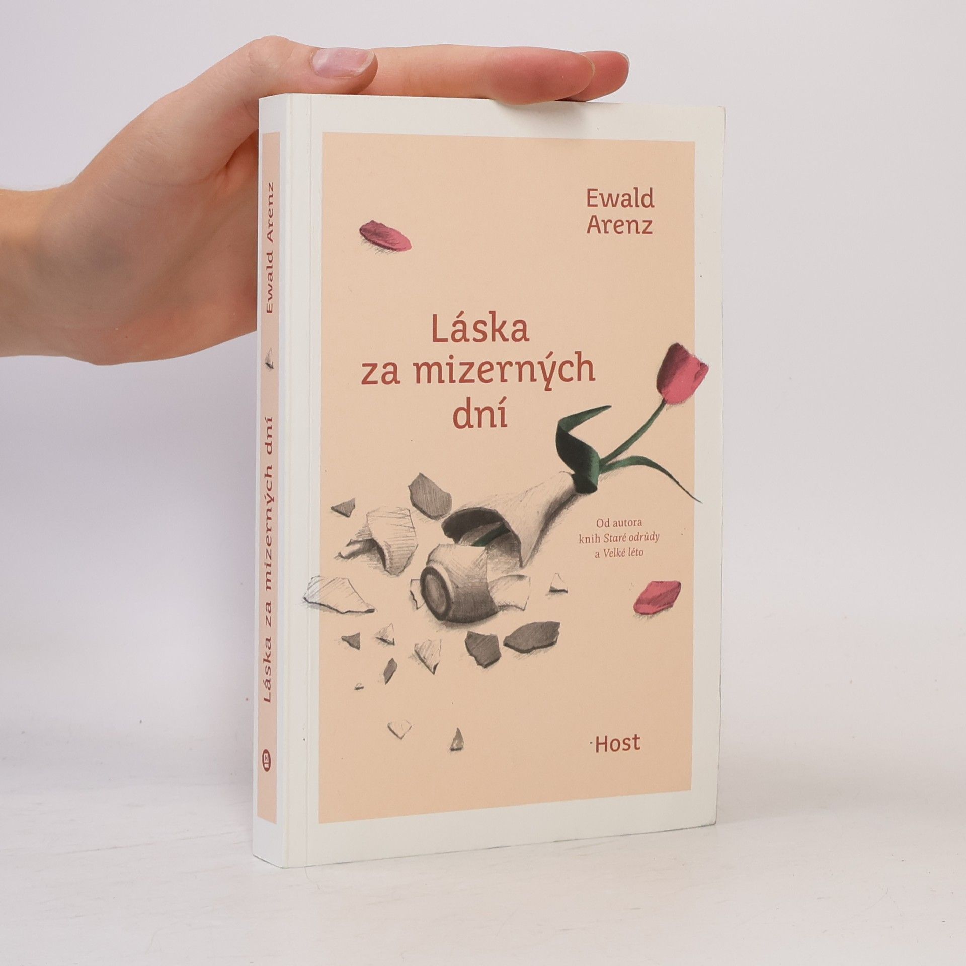 Ewald Arenz Láska za mizerných dní