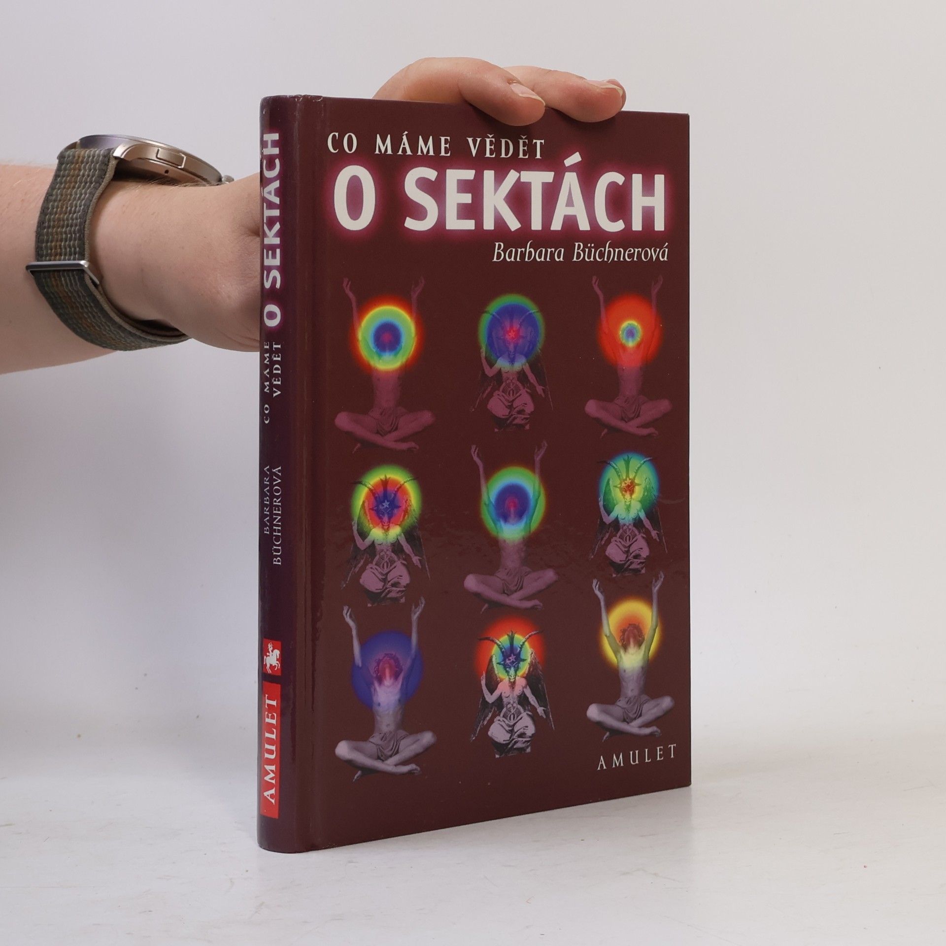 Barbara Büchner Co máme vědět o sektách