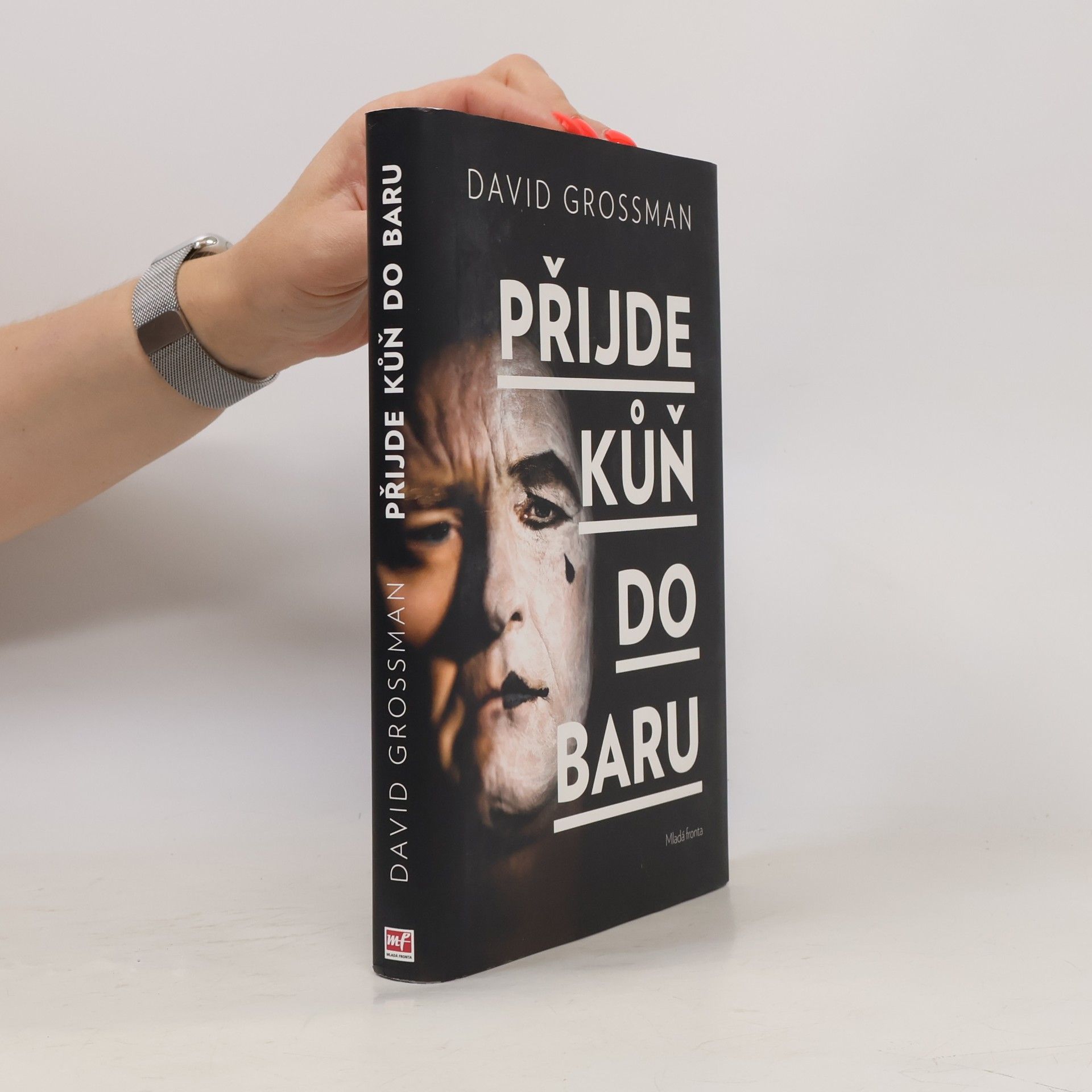 David Grossman Přijde kůň do baru