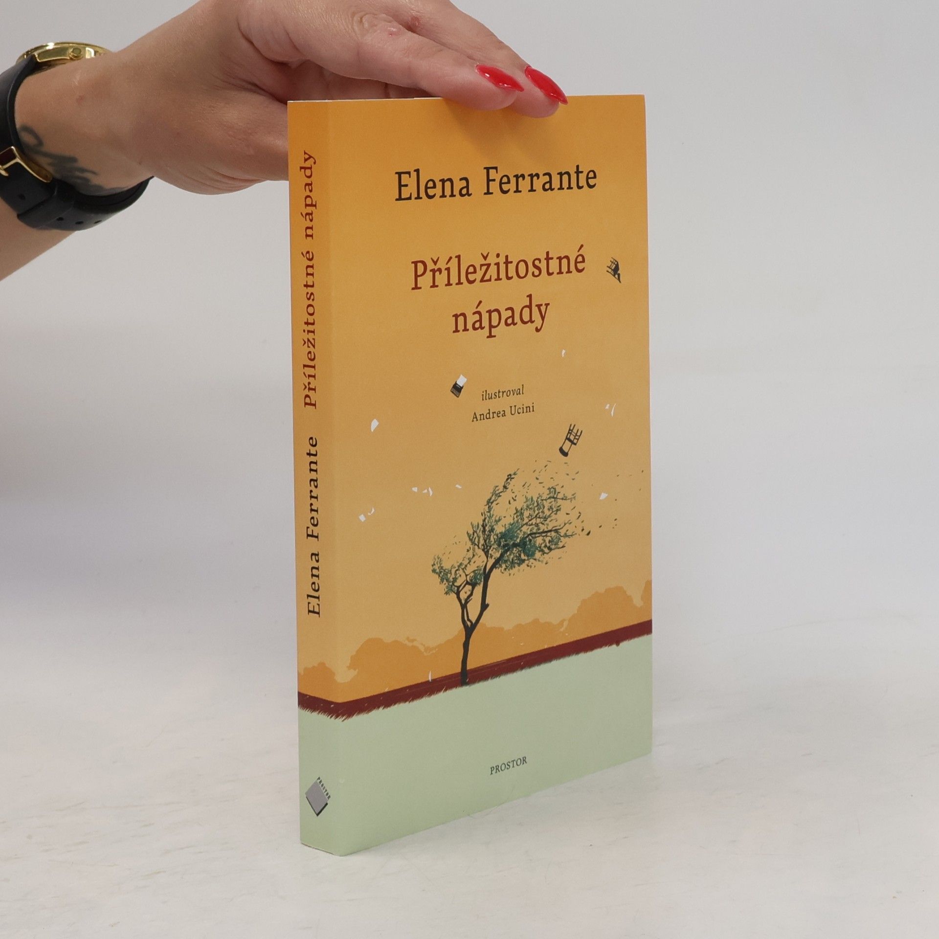 Elena Ferrante Příležitostné nápady