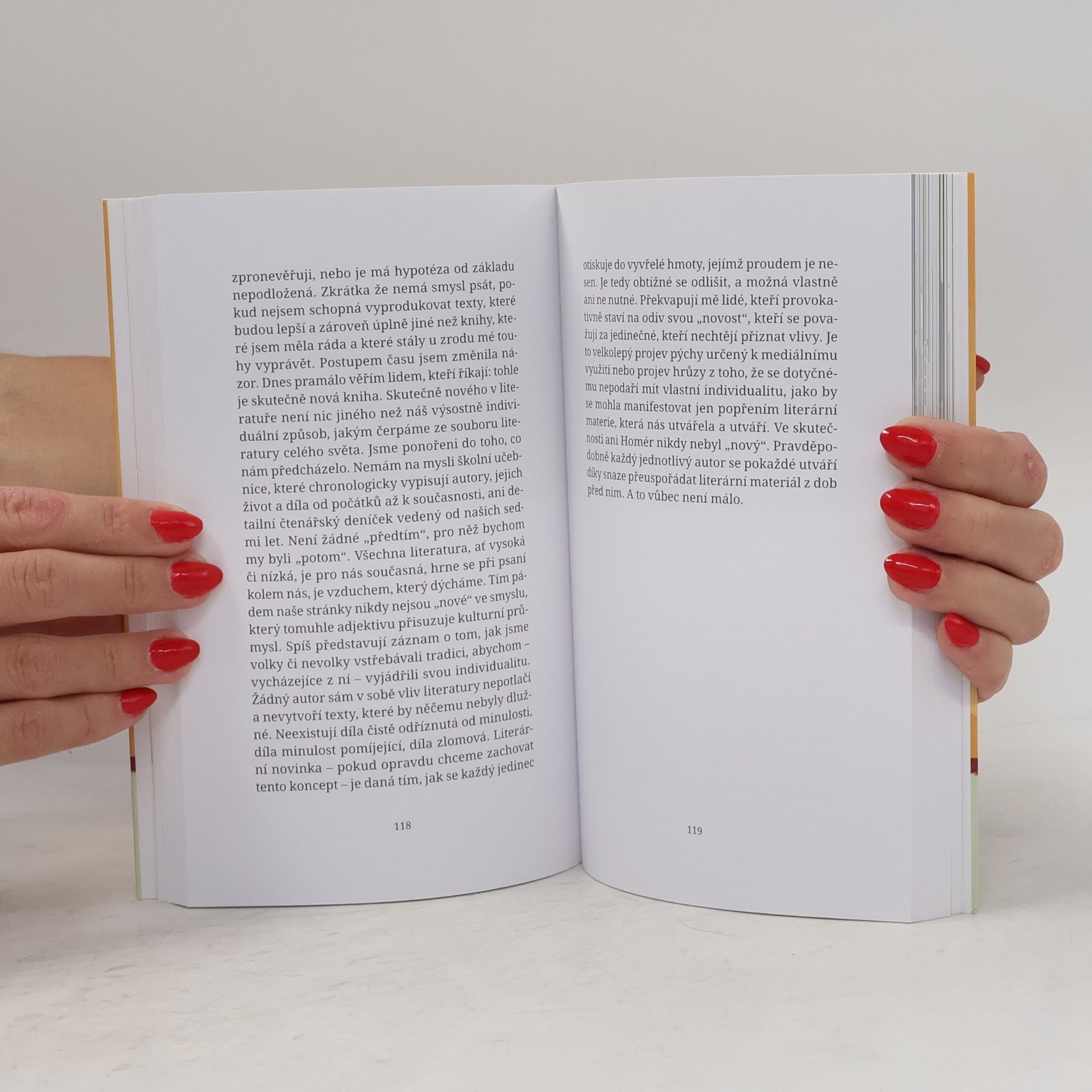 Elena Ferrante Příležitostné nápady