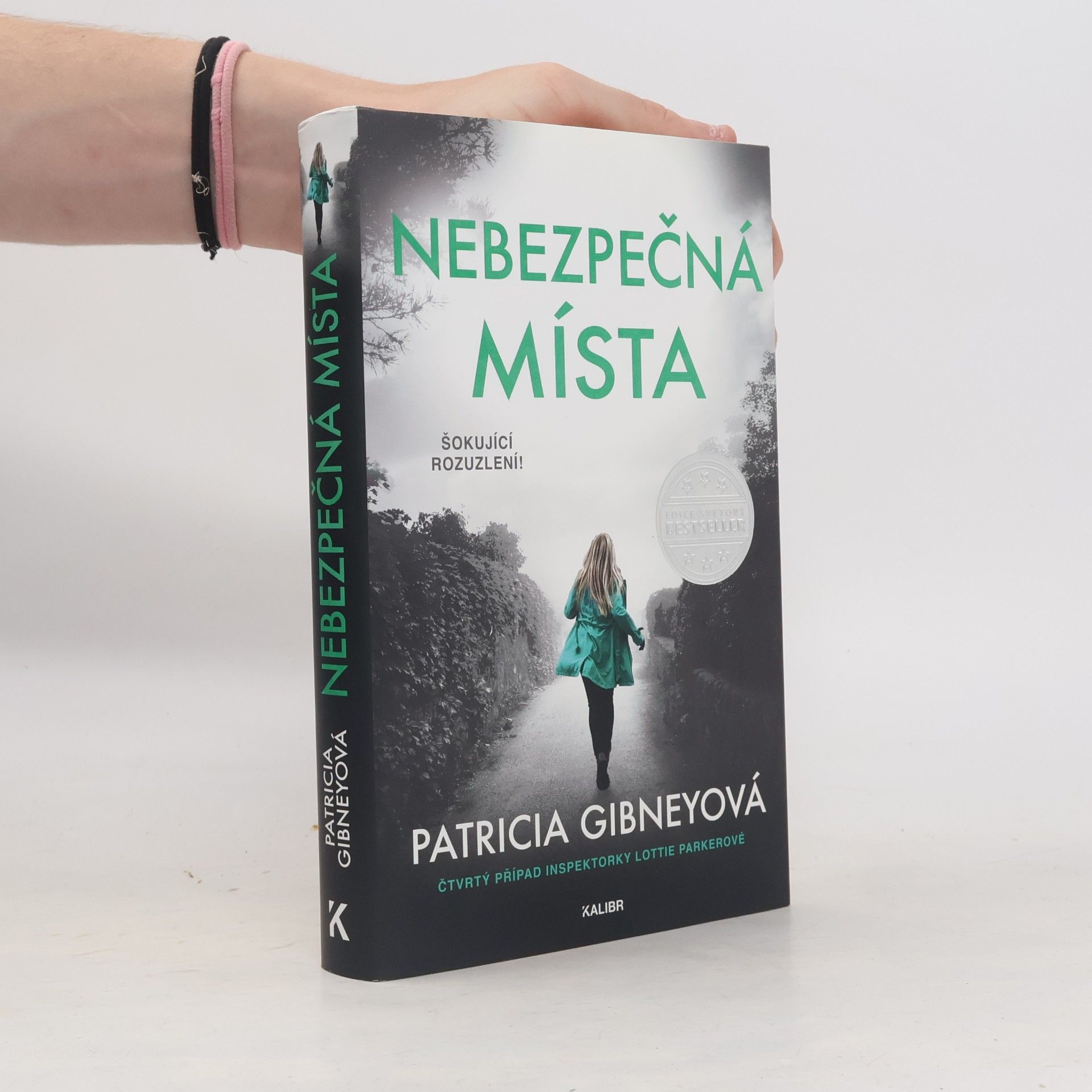 Patricia Gibney Nebezpečná místa