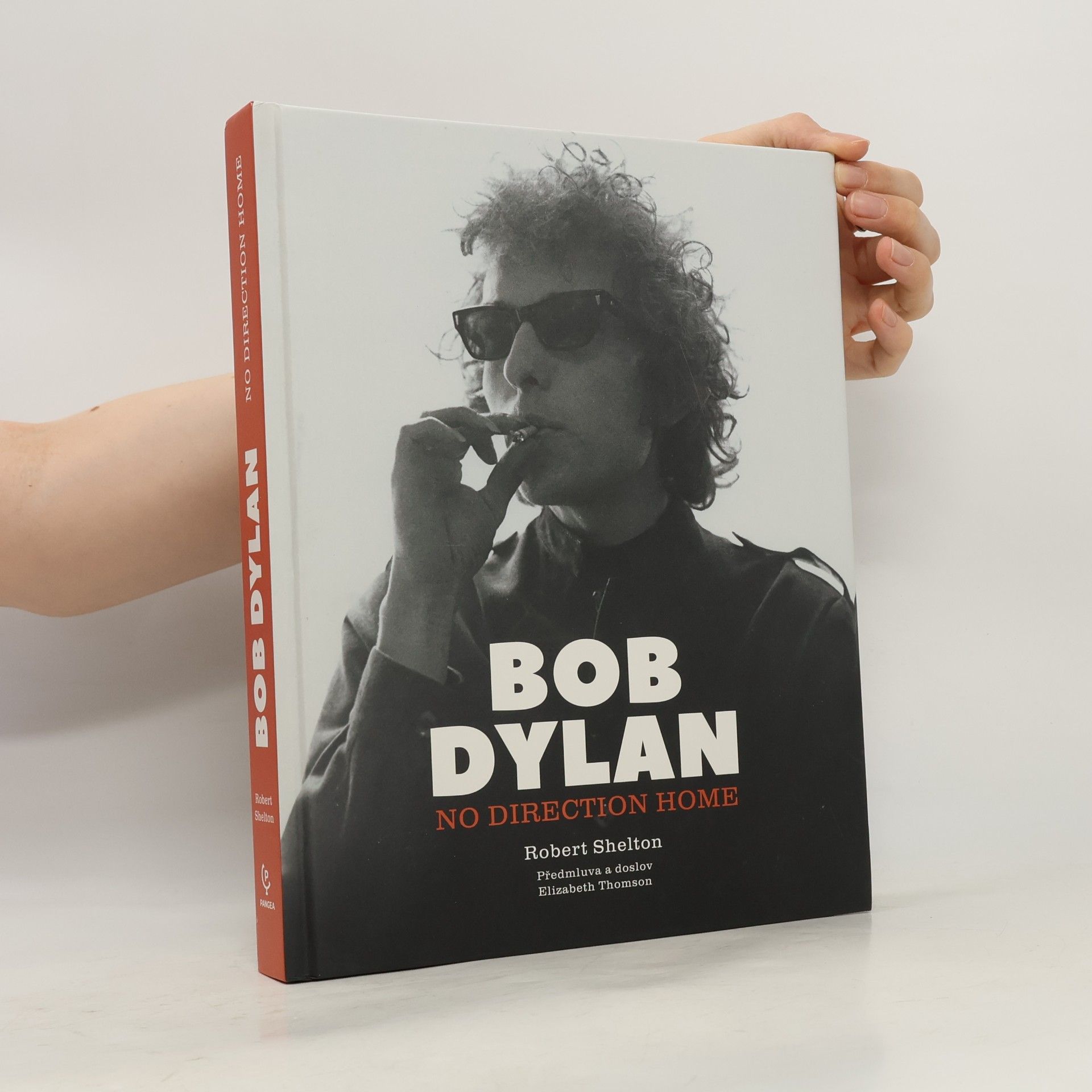 Robert Shelton Bob Dylan: No Direction Home