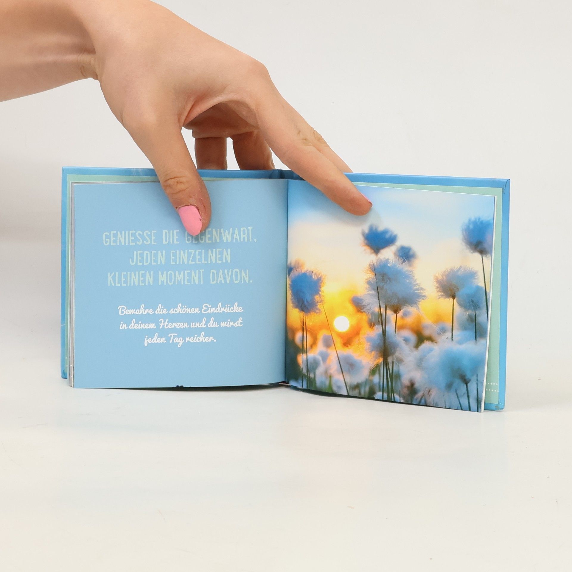 Wunschblume für dich