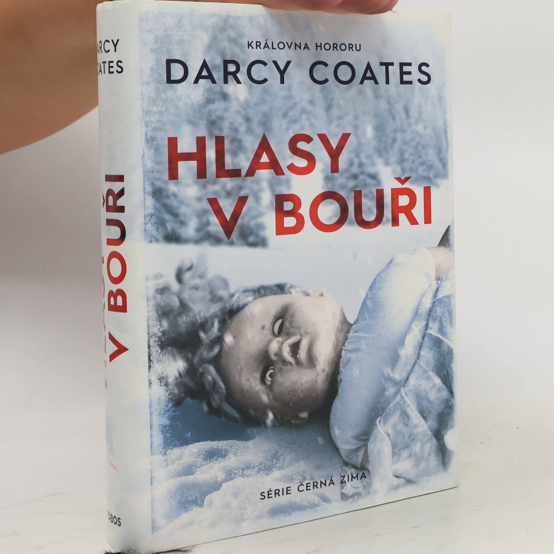 Darcy Coates Hlasy v bouři