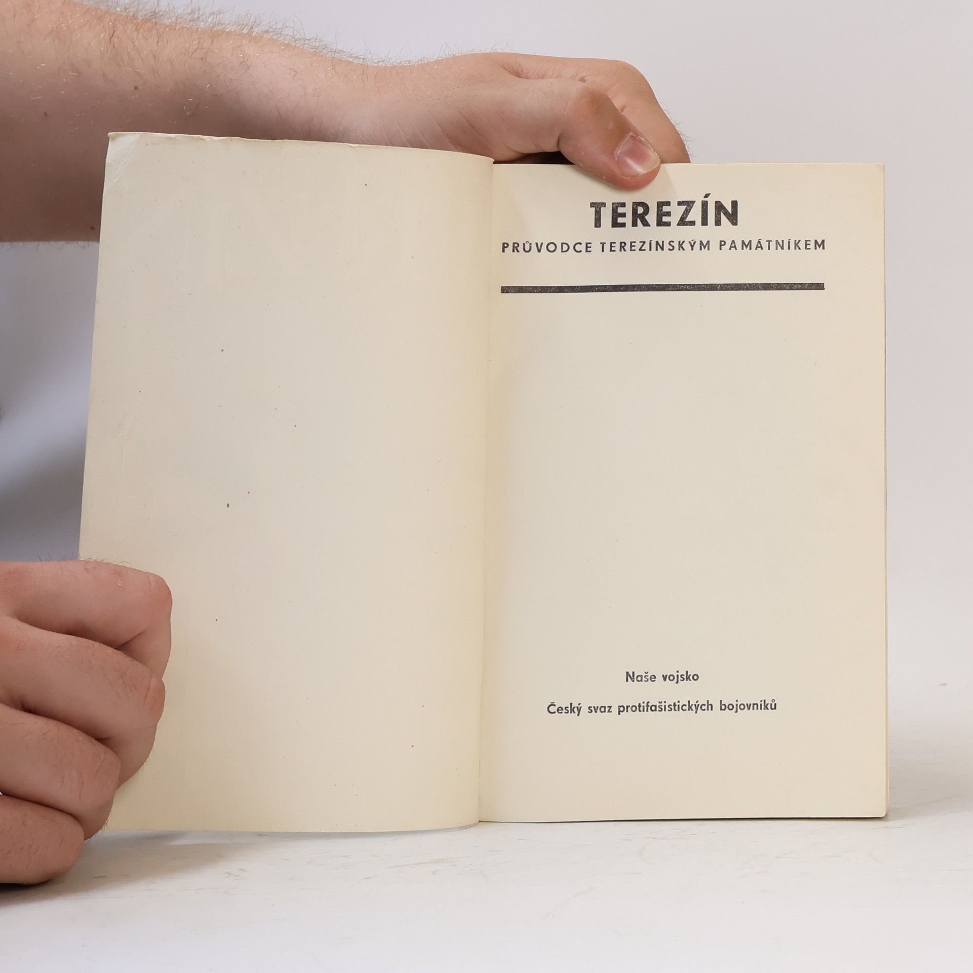 Libuše Krylová Terezín: Průvodce terezínským Památníkem