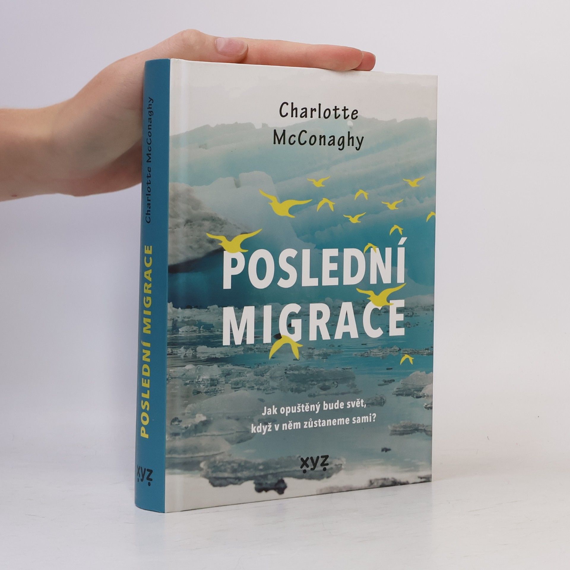 CHARLOTTE. MCCONAGHY Poslední migrace