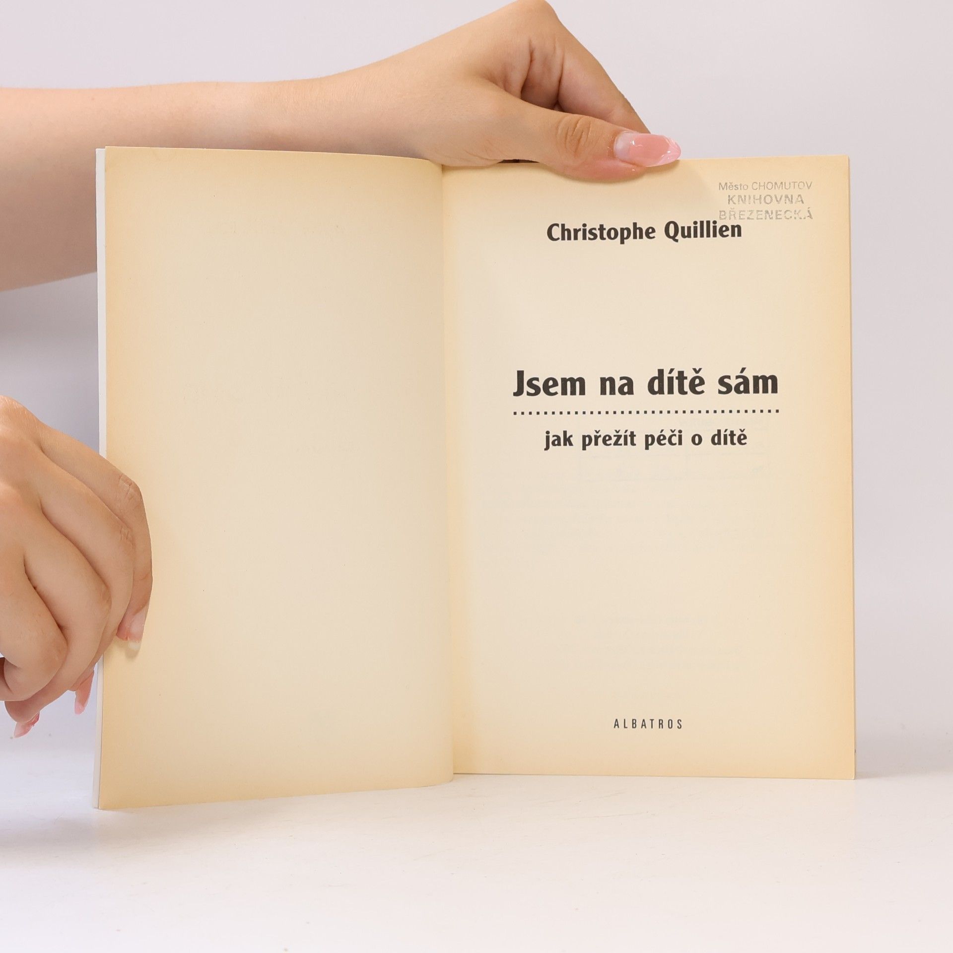 Quillien Christophe Jsem na dítě sám. Jak přežít péči o dítě
