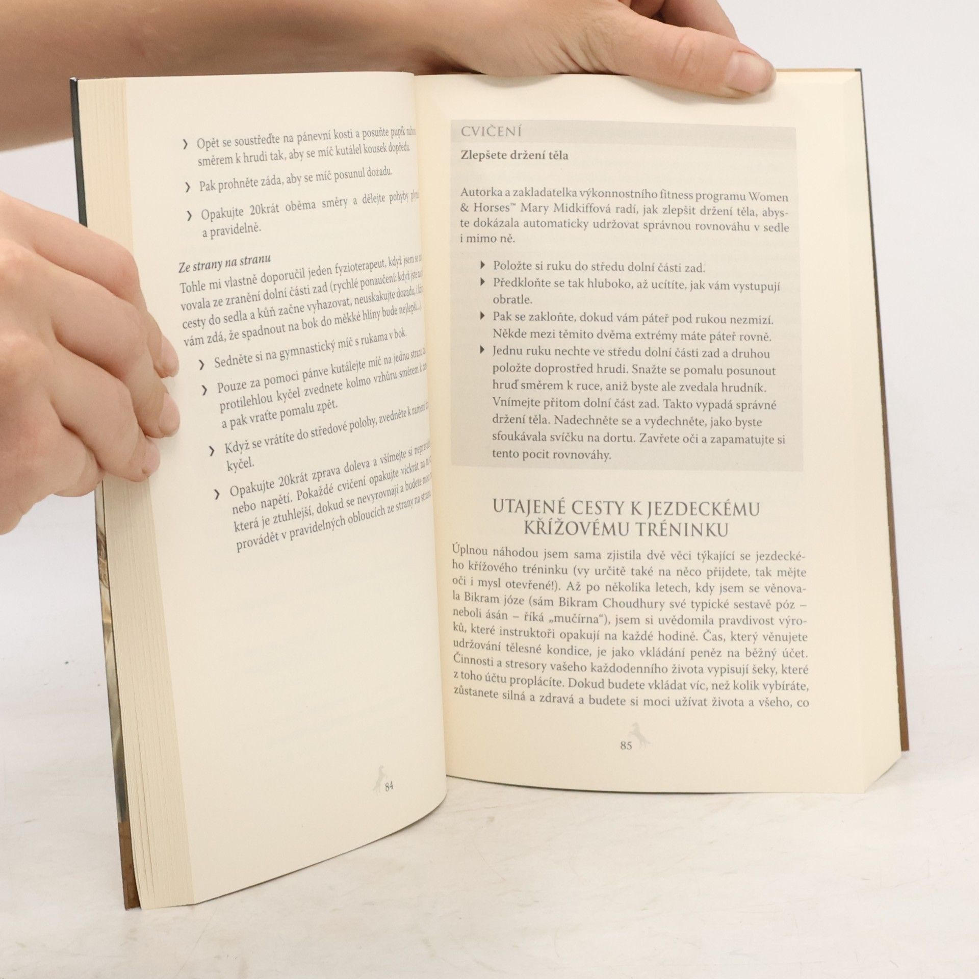 Melinda Folse Konečně mám koně : průvodce splněným snem a péčí o vašeho koňského společníka