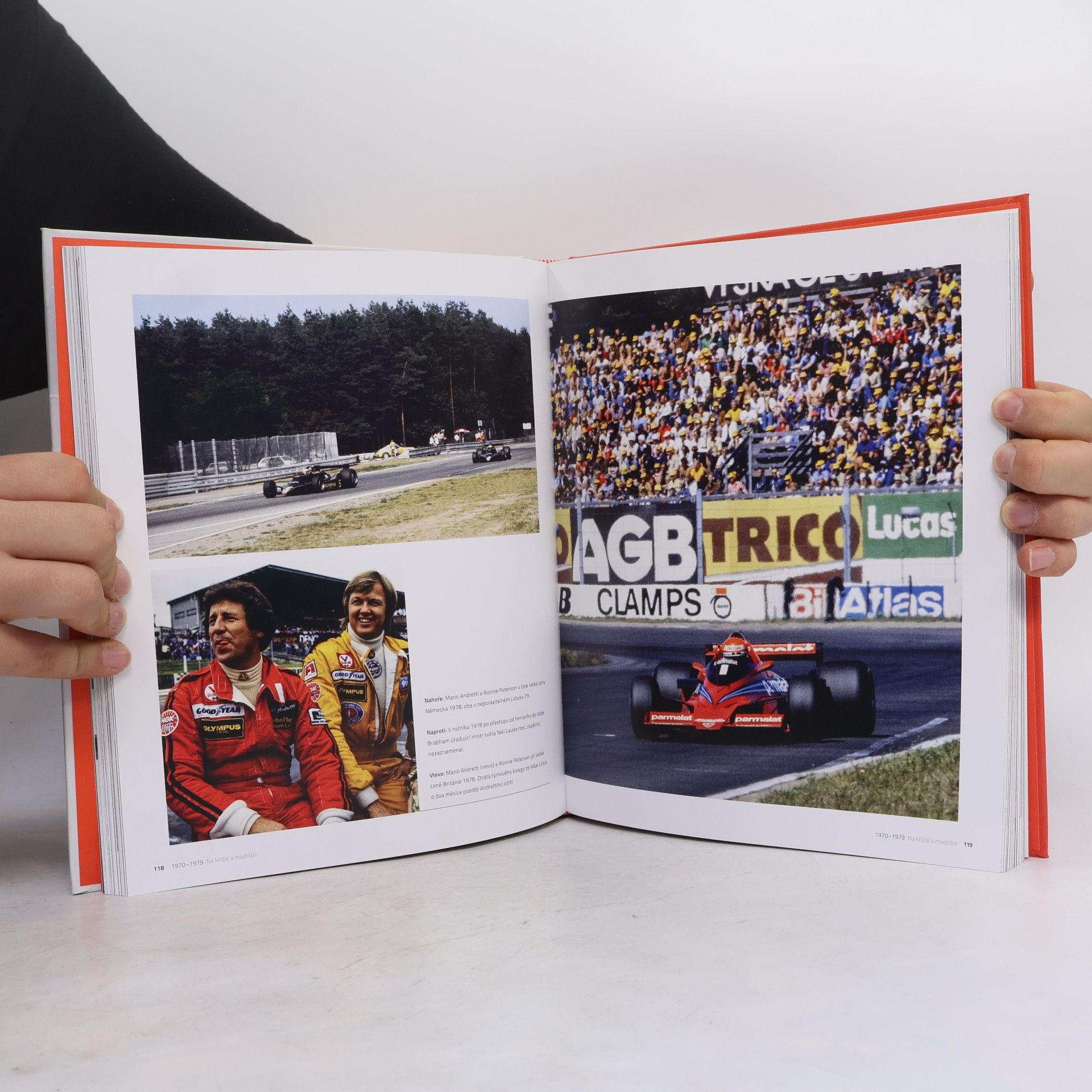 Dalibor Míček Formula 1 : oficiální historie F1