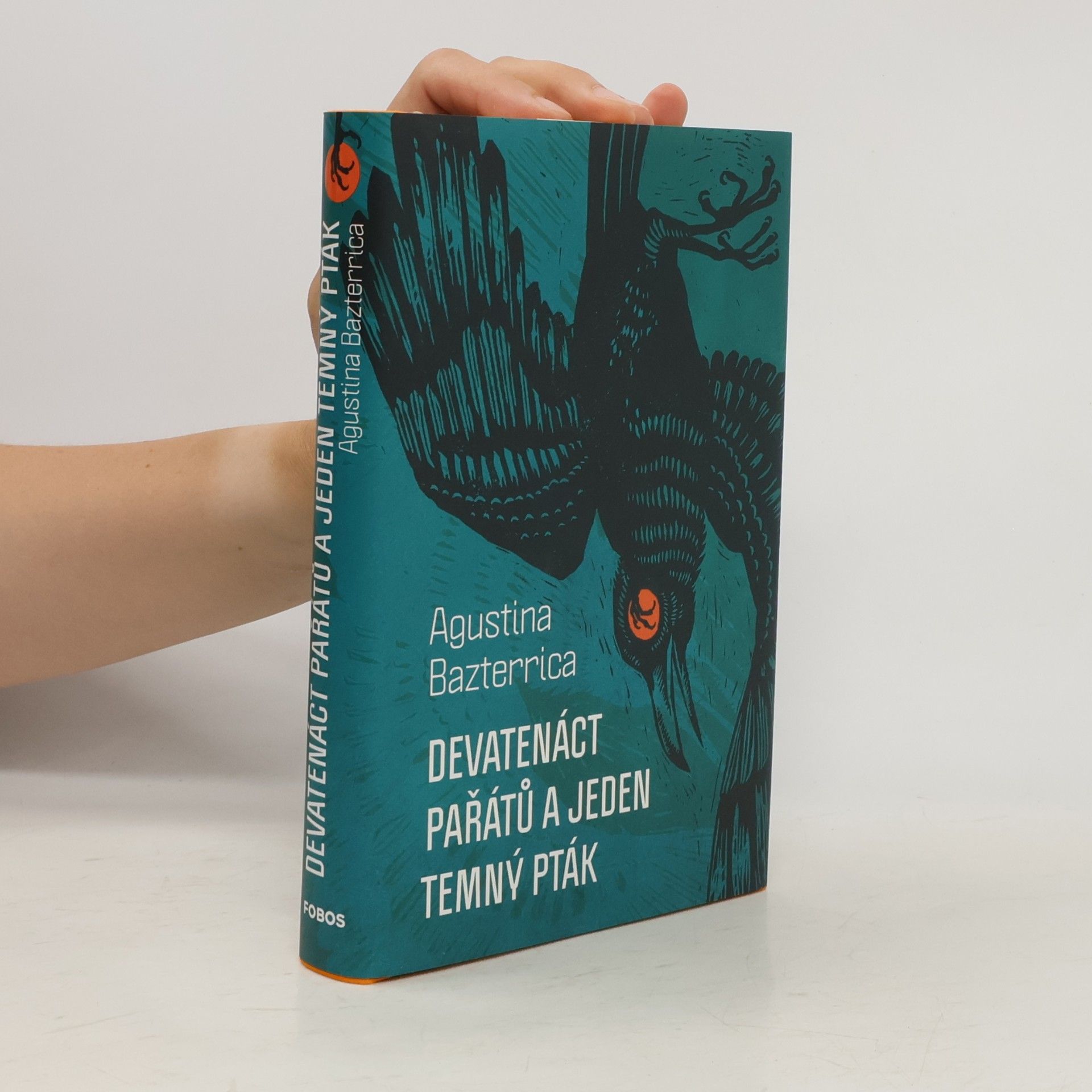 Devatenáct pařátů a jeden temný pták