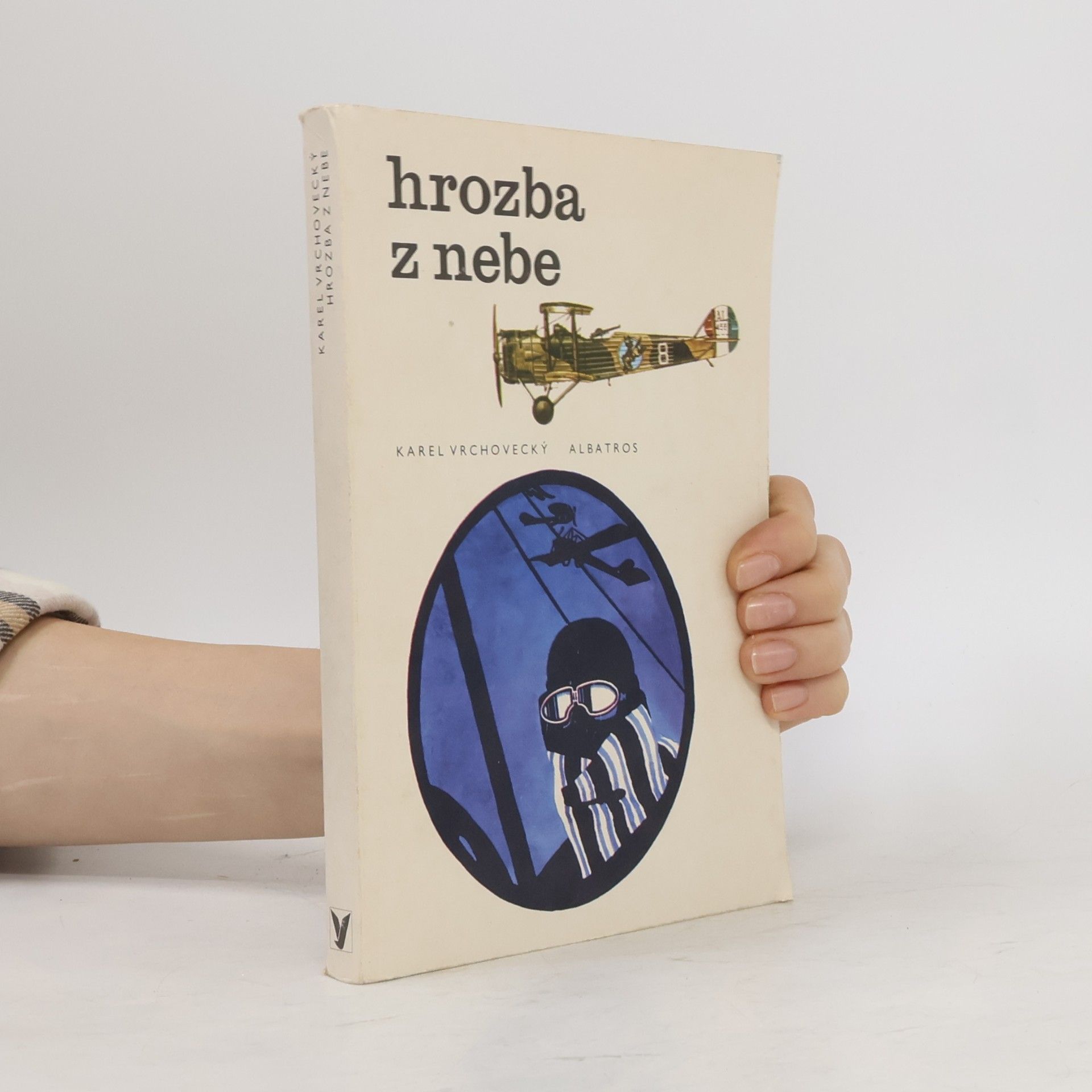 Hrozba z nebe. Malé dějiny vzdušné války