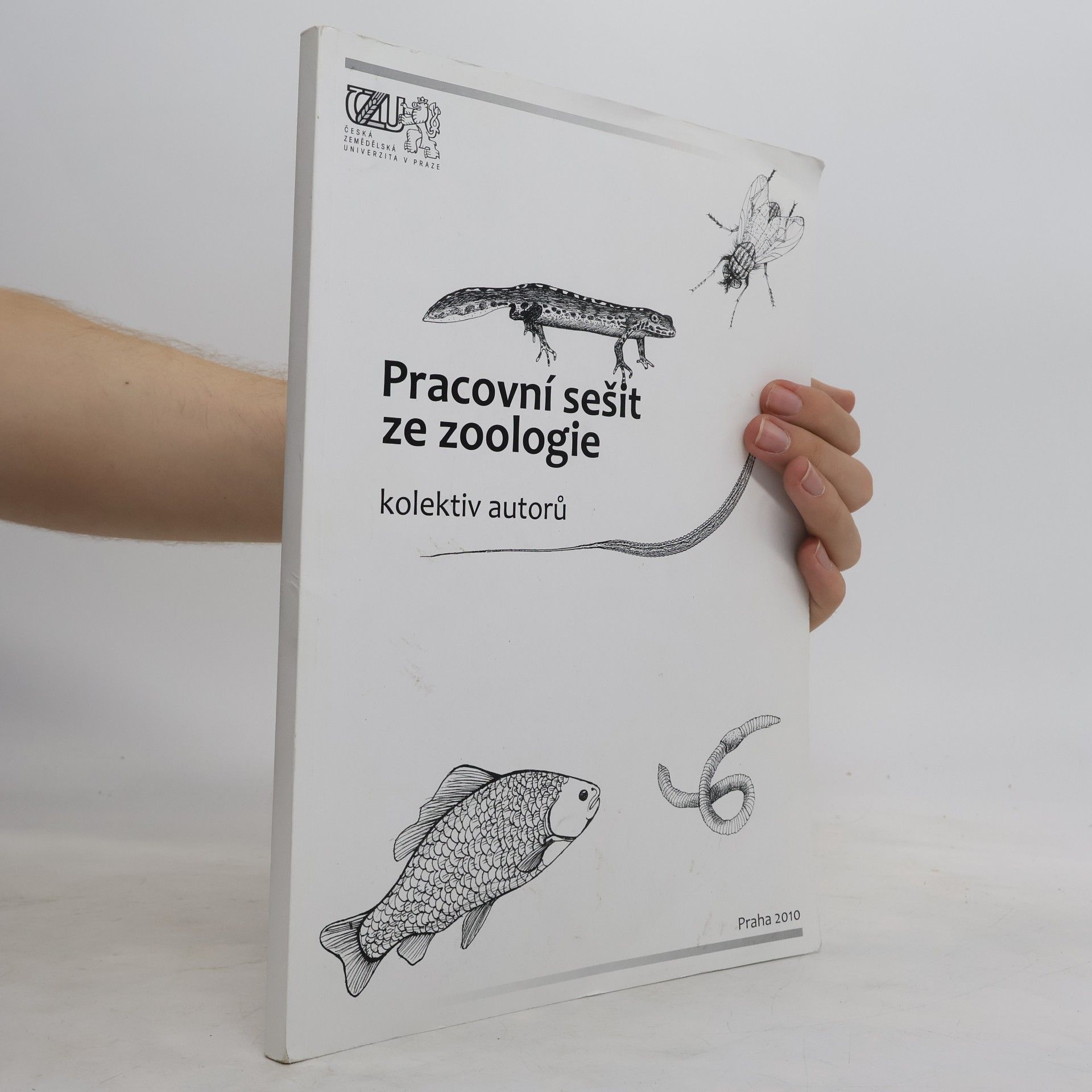 Kolektiv autorů Pracovní sešit ze zoologie