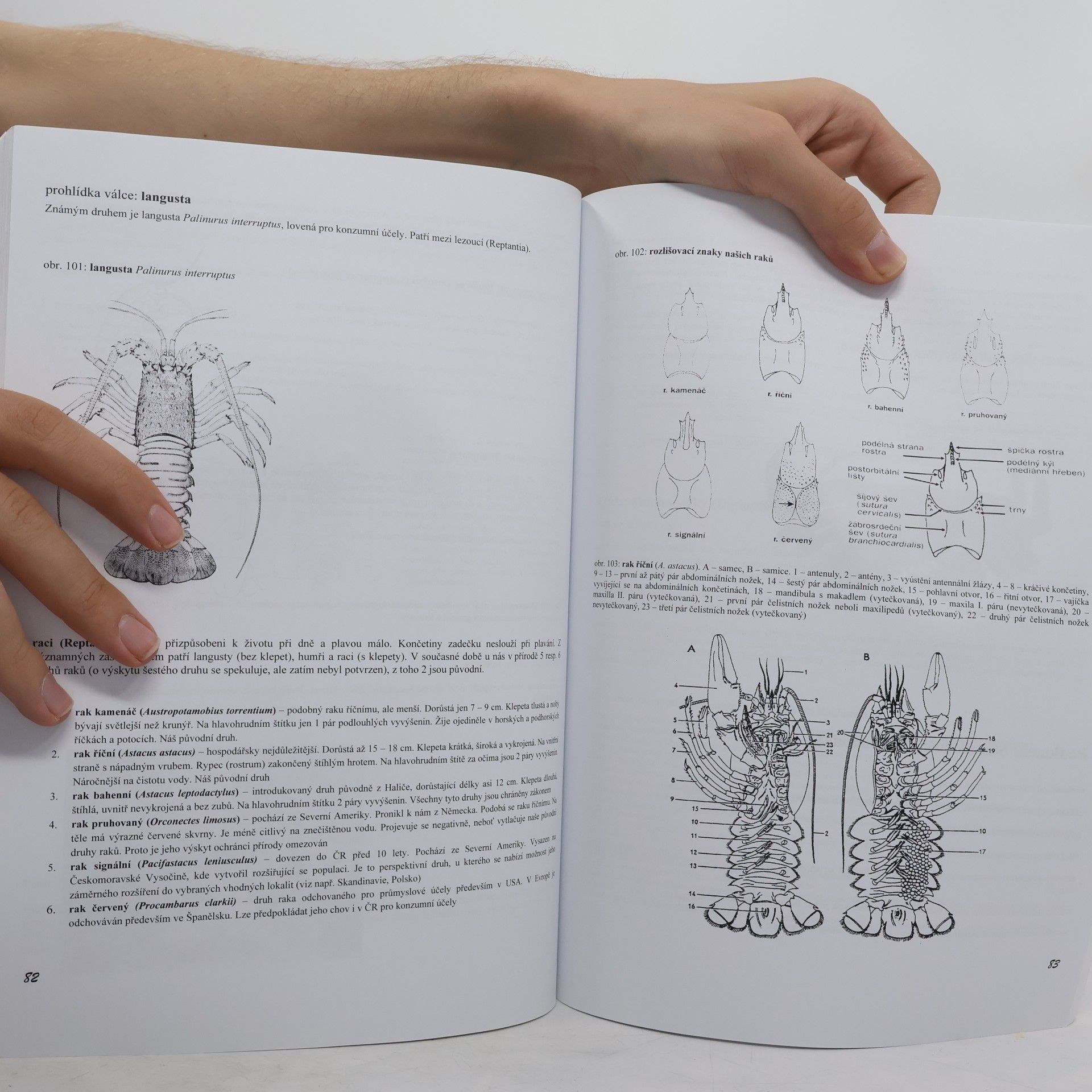 Kolektiv autorů Pracovní sešit ze zoologie