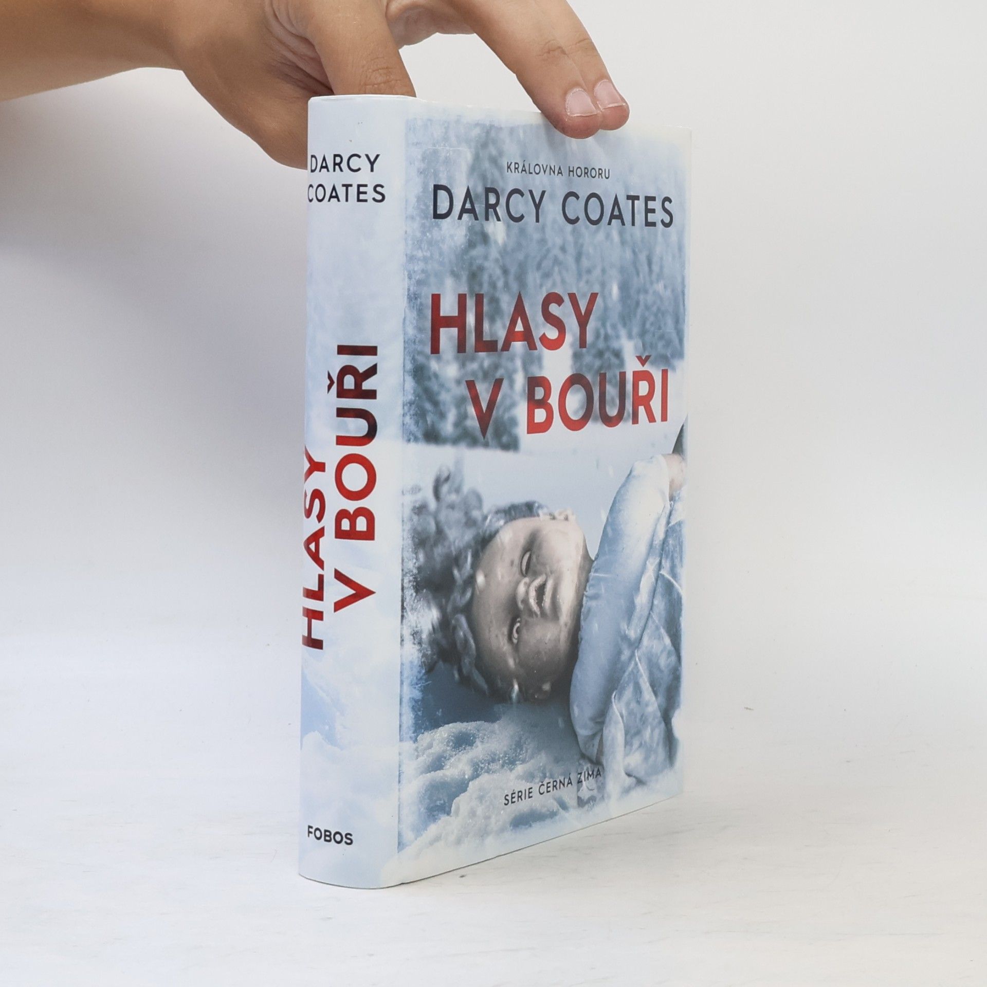 Darcy Coates Hlasy v bouři
