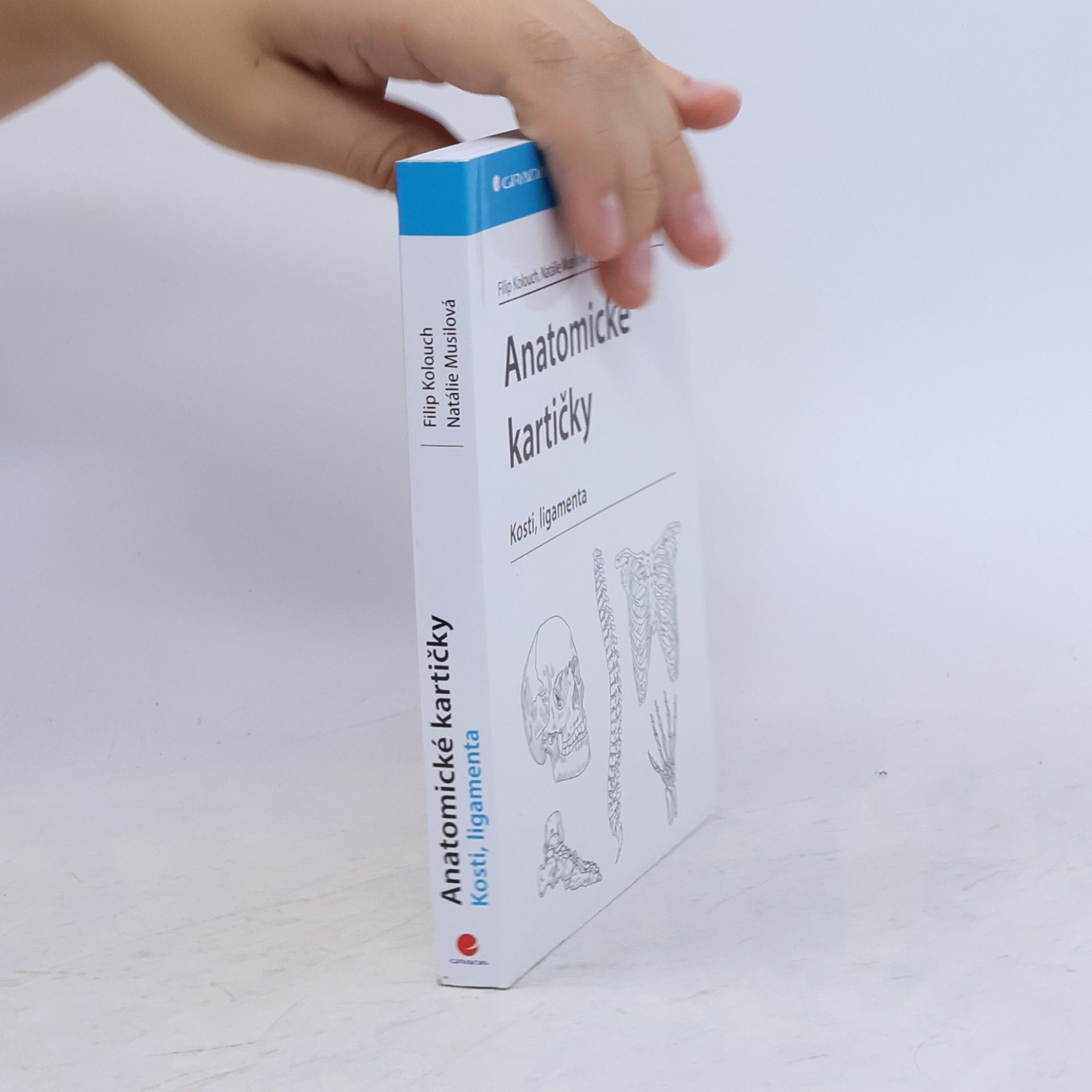 Natálie Musilová Anatomické kartičky